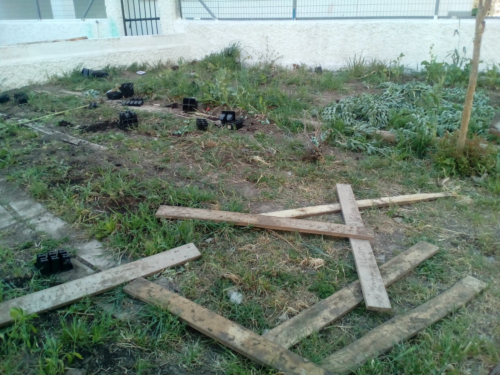 Estado en el que quedó el huerto tras los actos vandálicos.