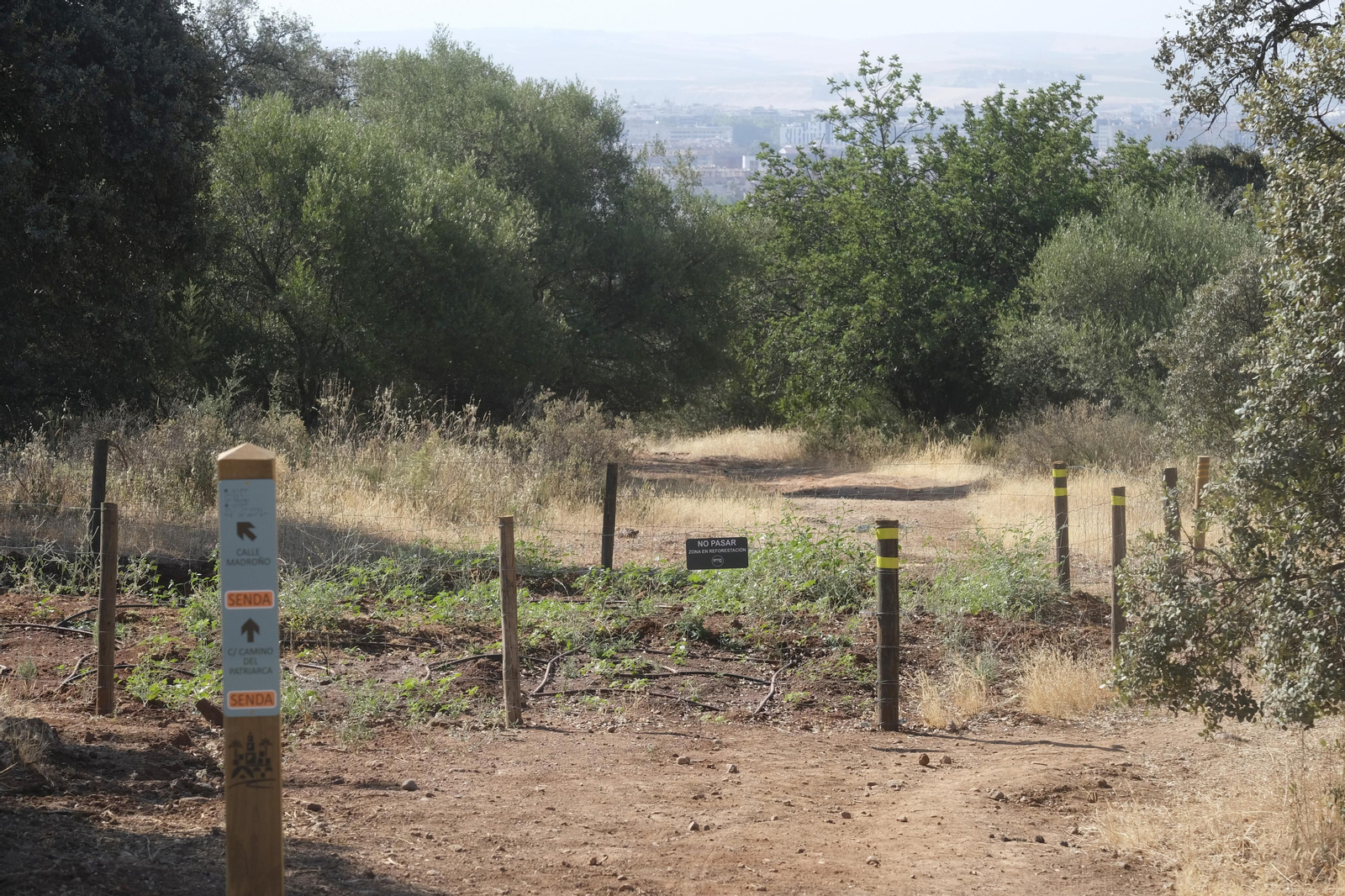 Así luce El Patriarca tras las obras para convertirlo en un parque periurbano