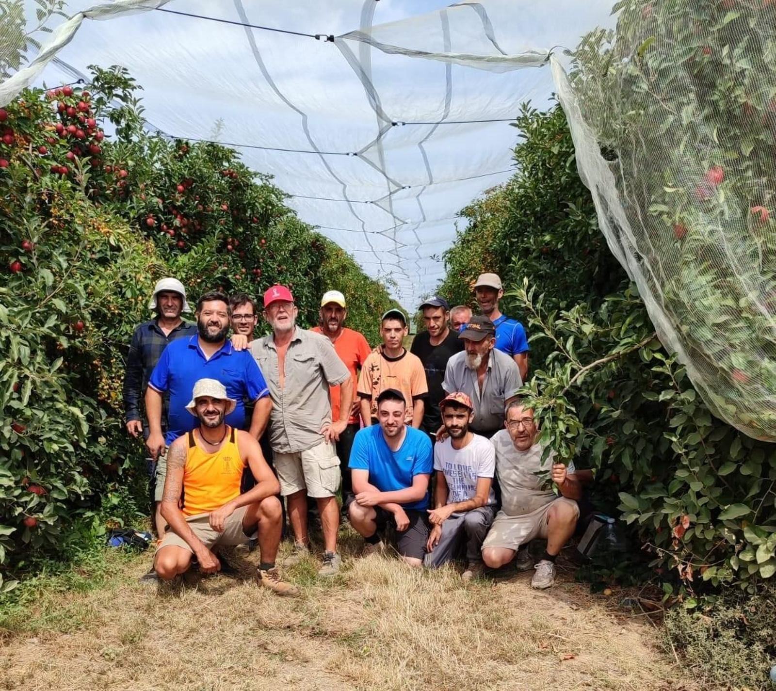 Un grupo de jornaleros se han desplazado estos días hasta Francia para la campaña de recogida de manzanas