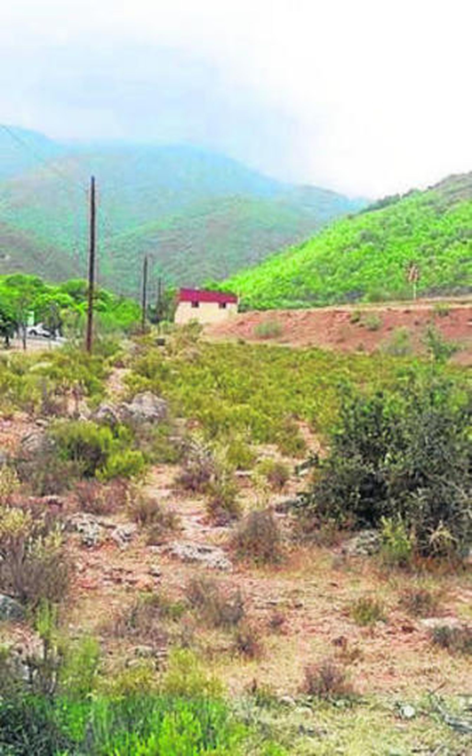 Paraje en el que irá el centro.