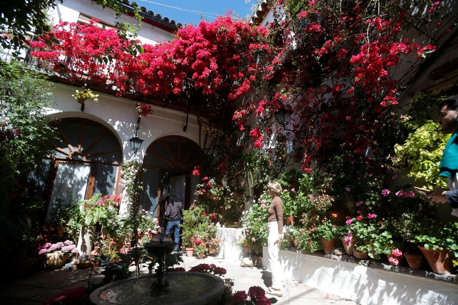 Las mejores imágenes del primer día de Patios en Córdoba