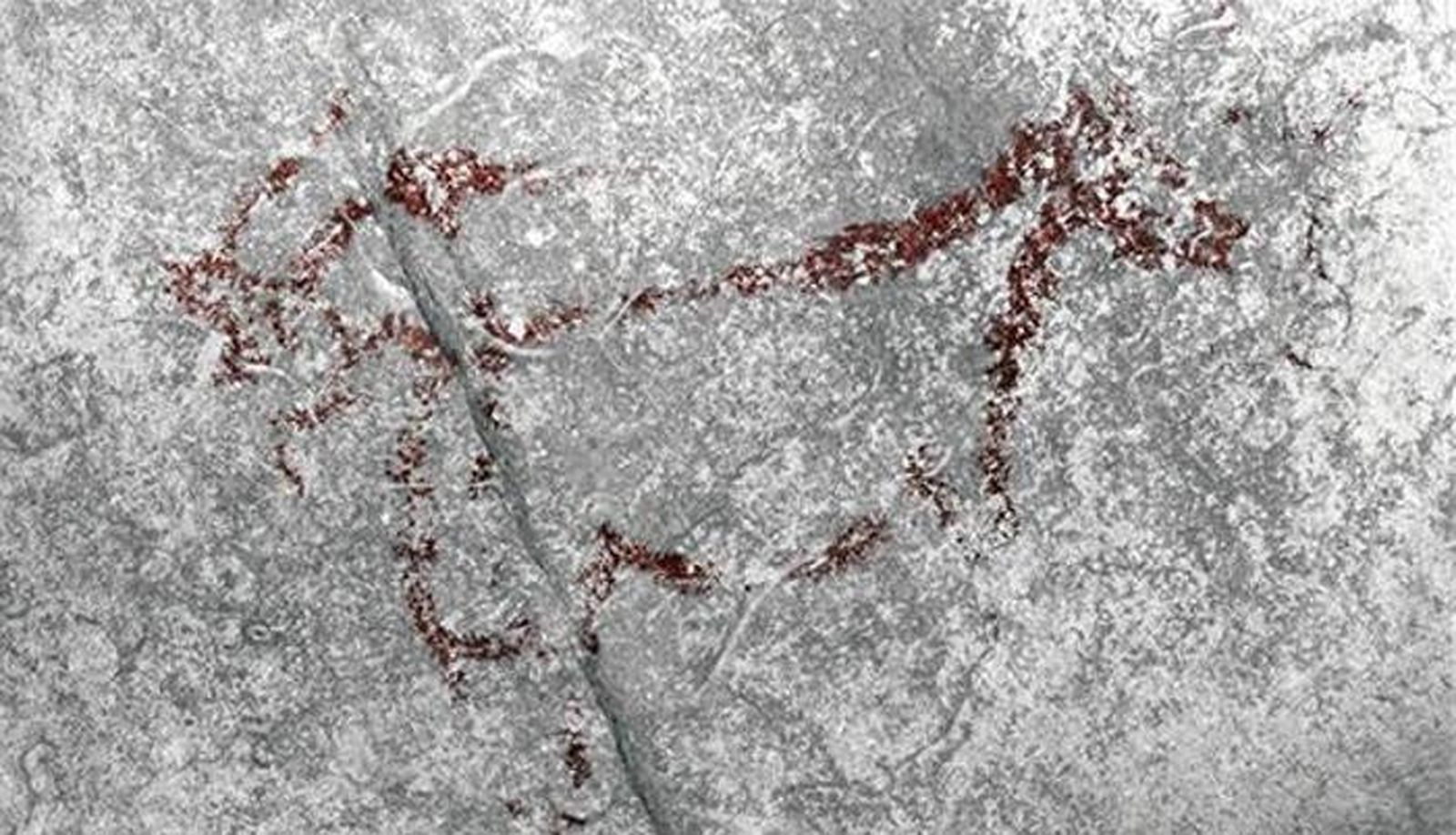 El caballo en el Museo.