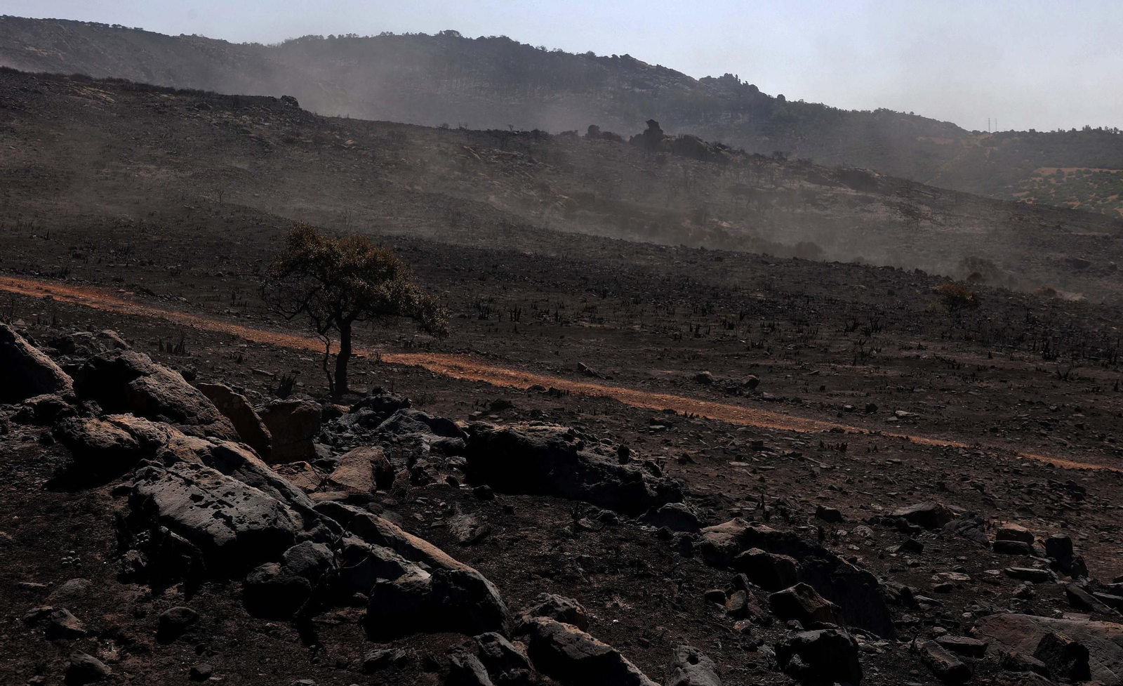 Así han quedado Atlanterra y Zahara de los Atunes tras el incendio forestal en la Sierra de la Plata de Tarifa