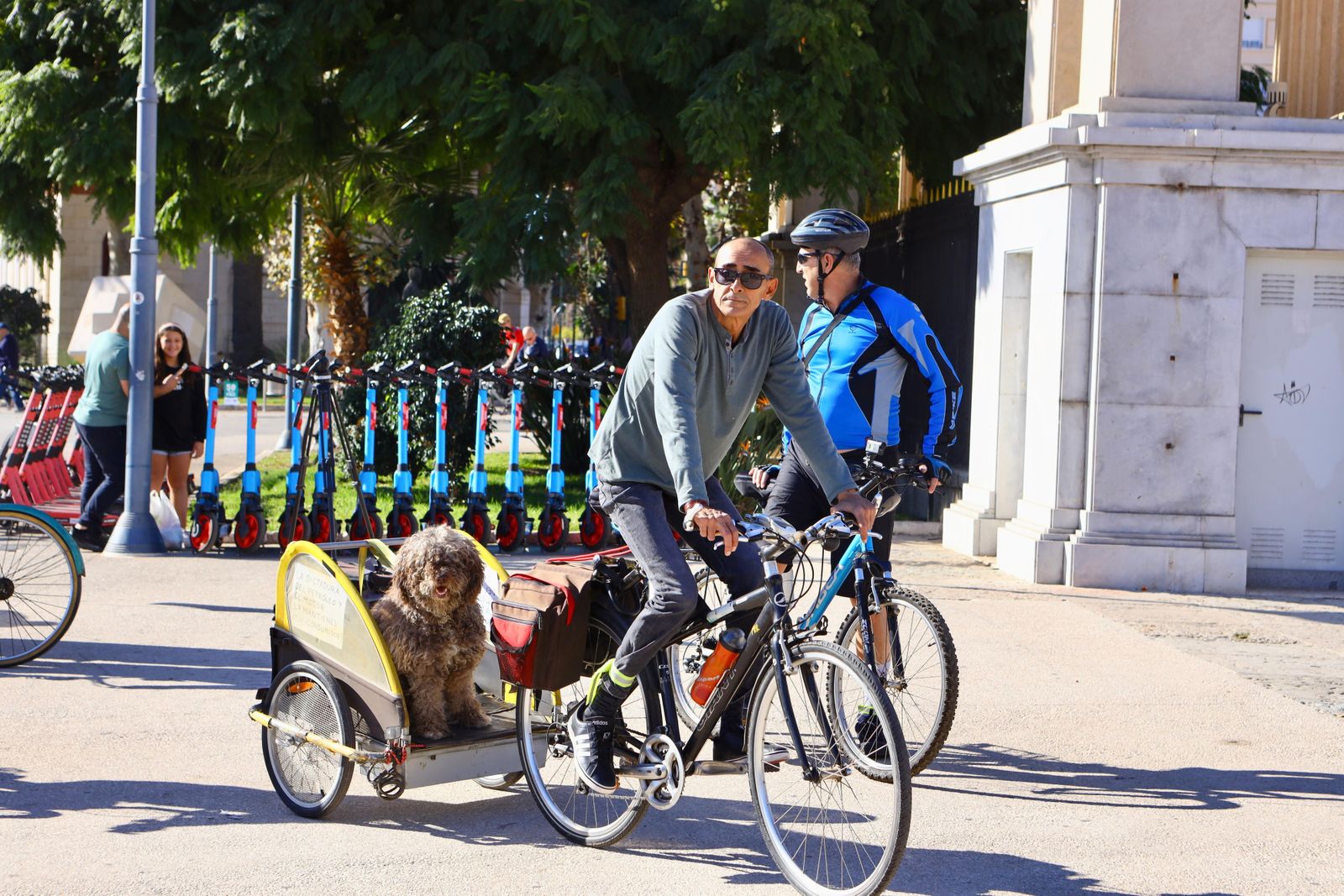 Así ha discurrido la 'bicifestación' por la movilidad verde en Málaga