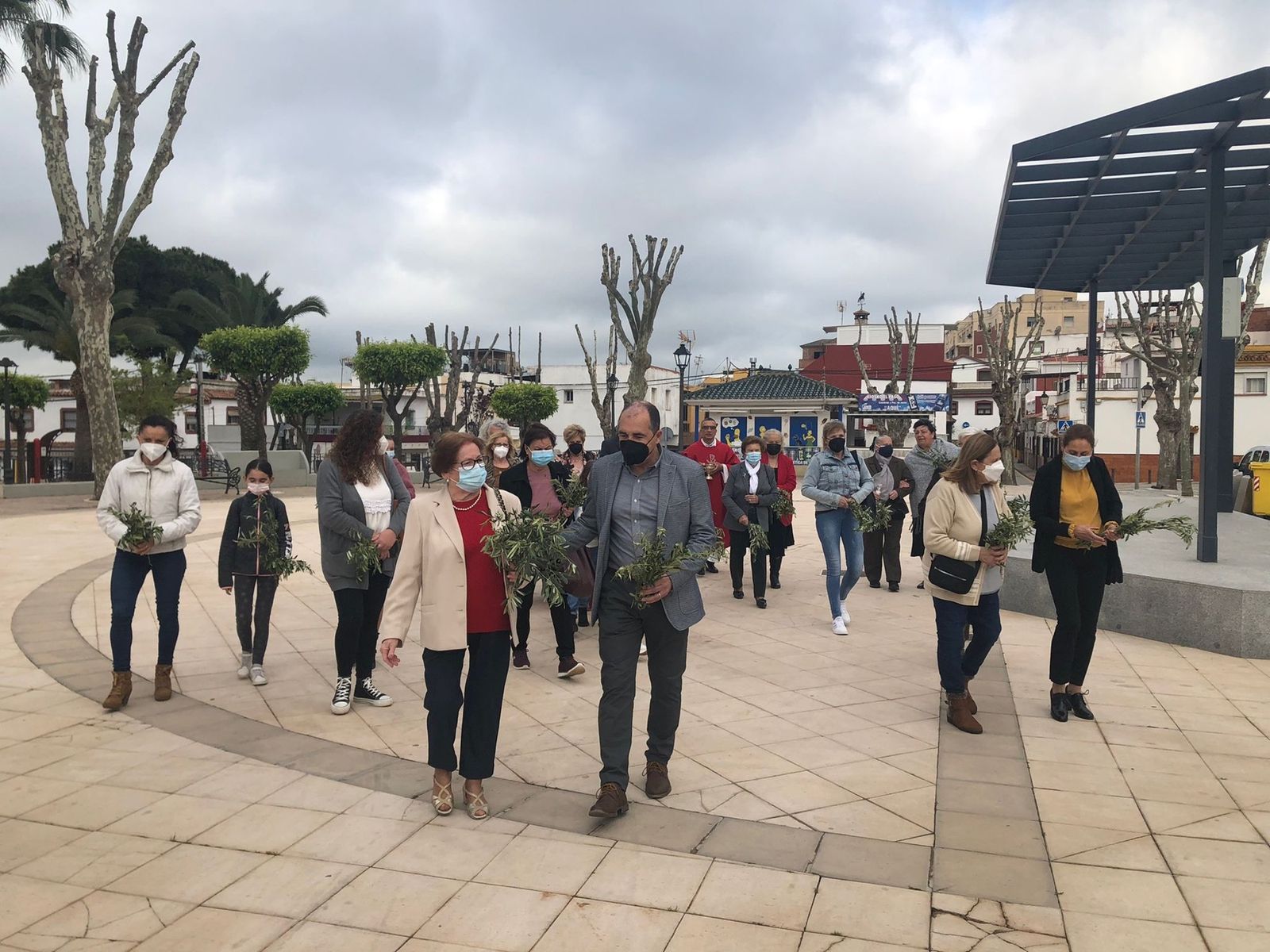 Las fotos del domingo de palmas y olivos en San Roque