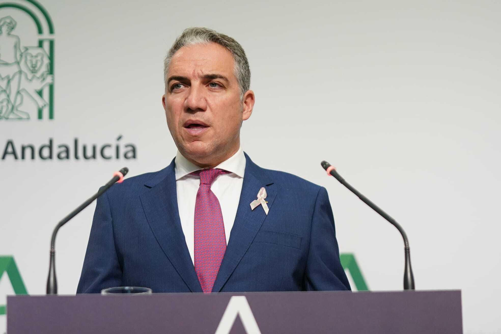 Elías Bendodo, en el Palacio de San Telmo.