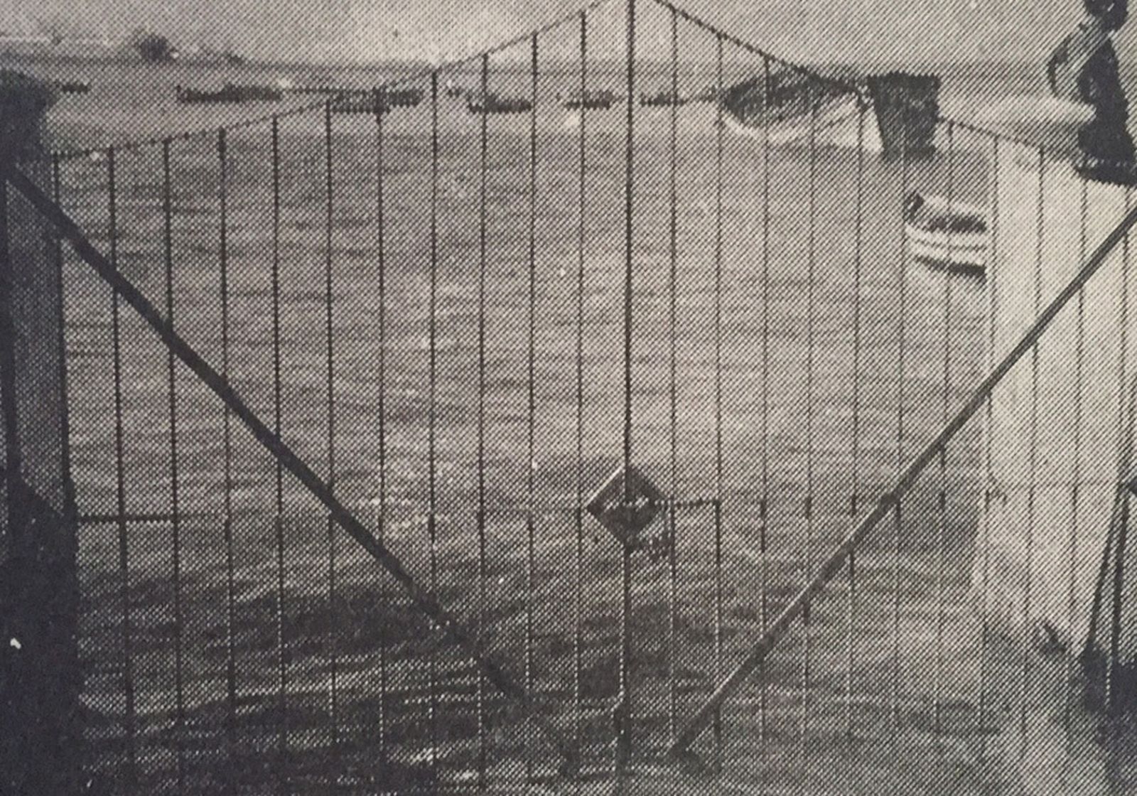 1967 hace 50 añosLa 'marea del siglo'    no fue alarmante