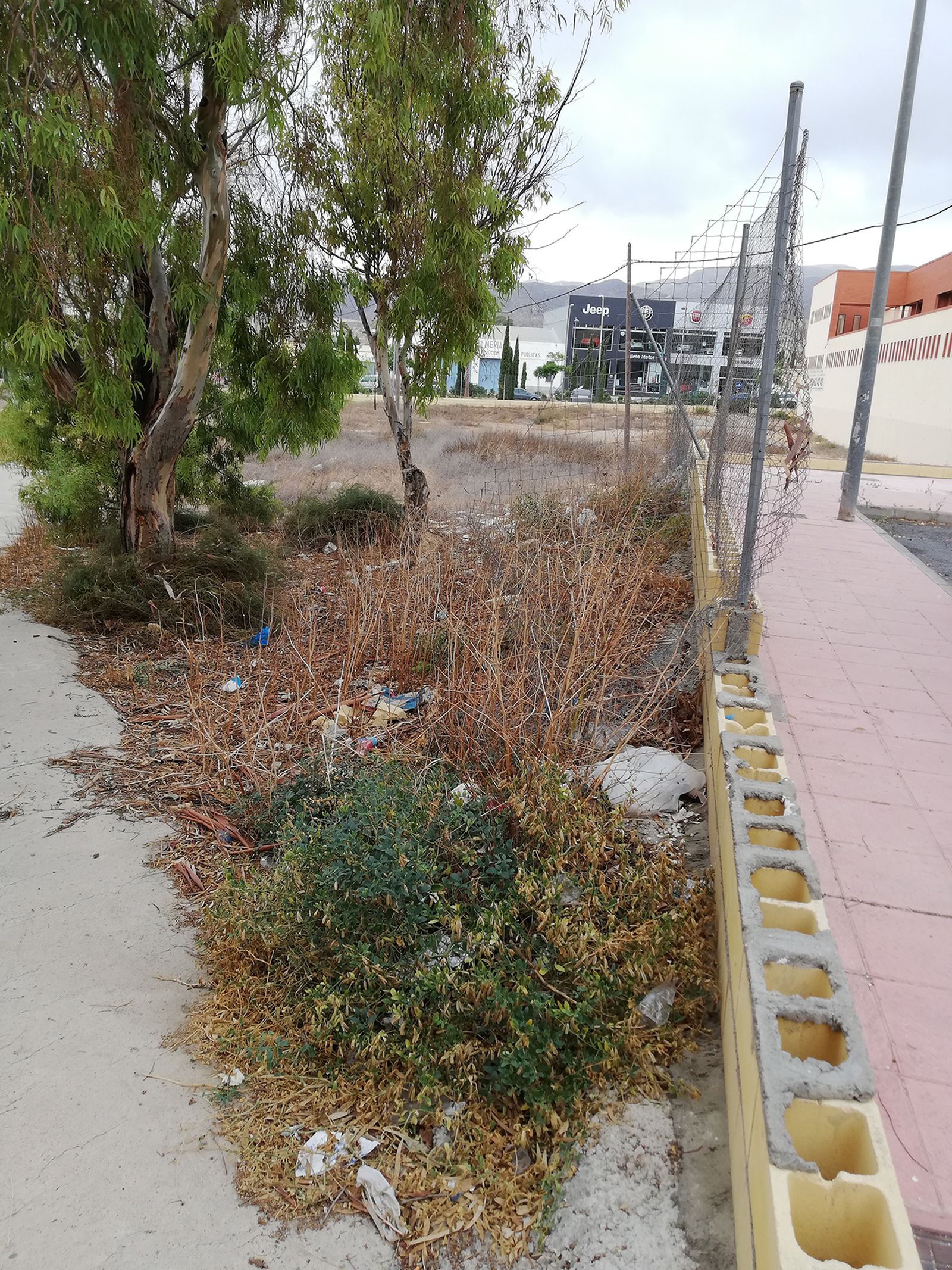 Basura acumulada alrededor del Hospital Torrecárdenas