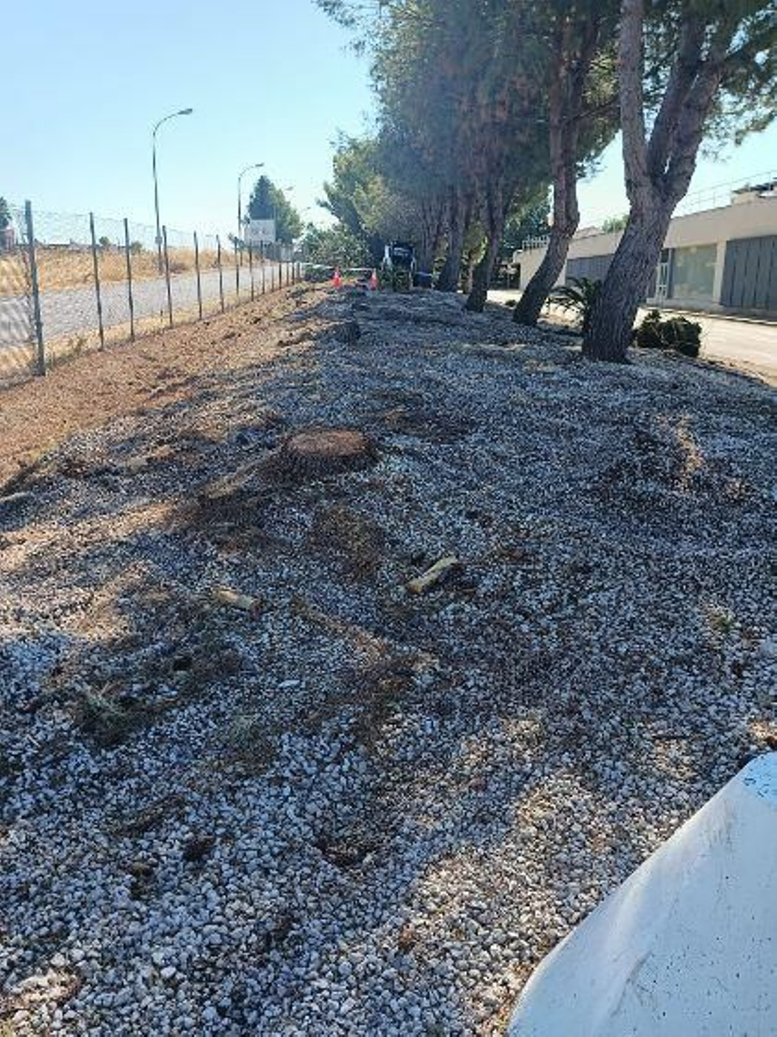 Tala de árboles en el Hospital de Alta Resolución de Puente Genil