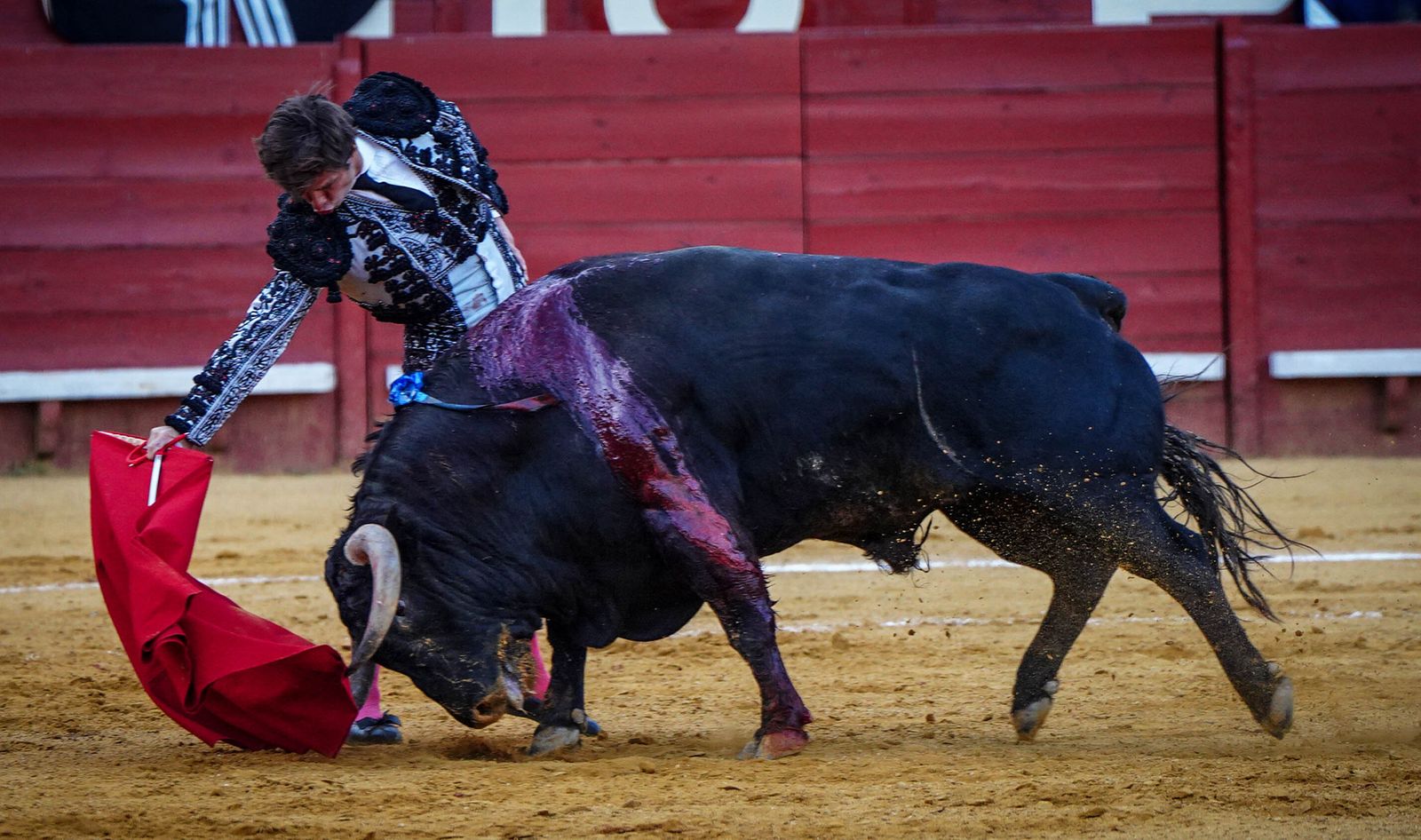 Puerta grande para Roca Rey y El Juli en la plaza de toros de Jerez