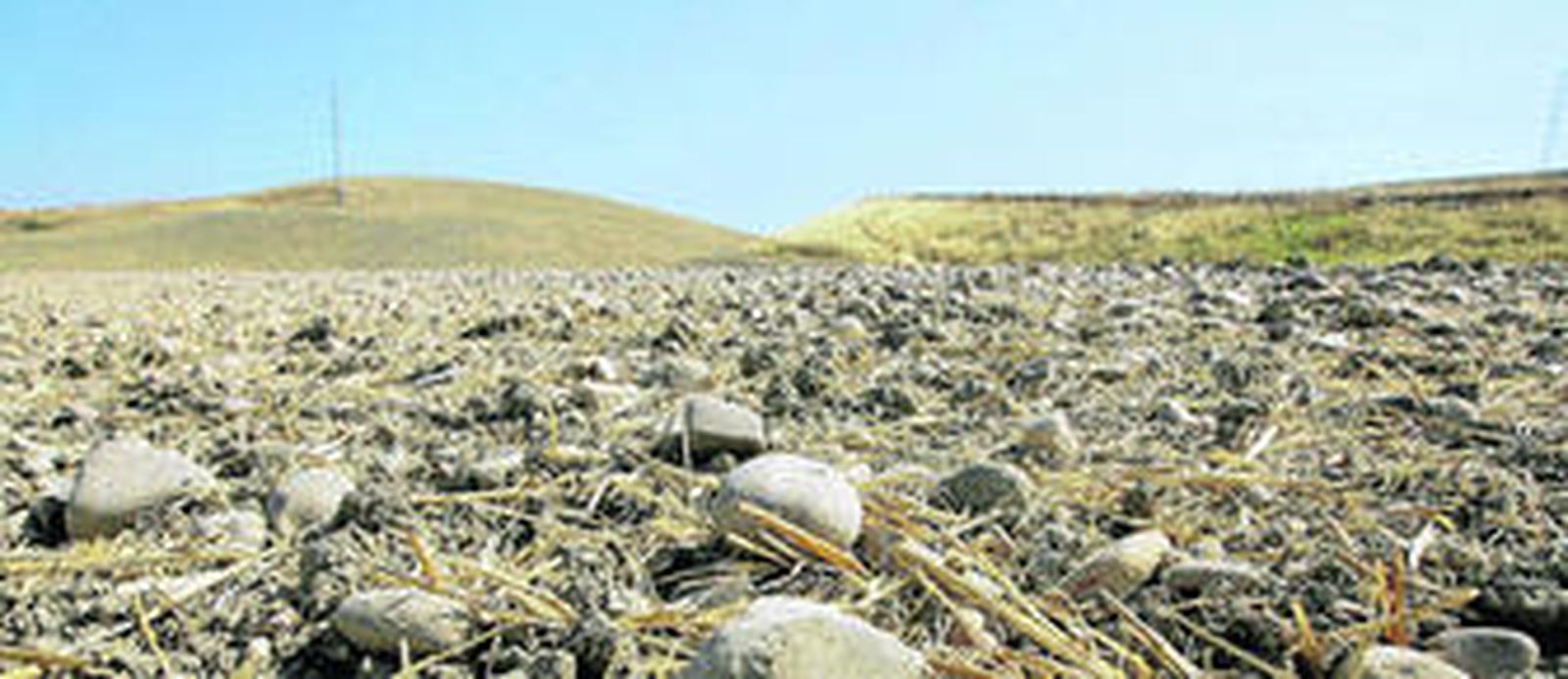 Aspecto de la Campiña cordobesa en las inmediaciones de la capital, ayer.