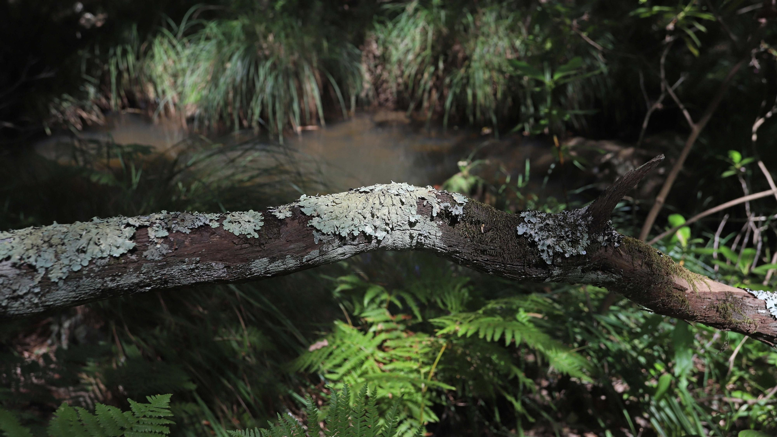 Las mejores fotos de la Montera del Torero y Valdeinfierno