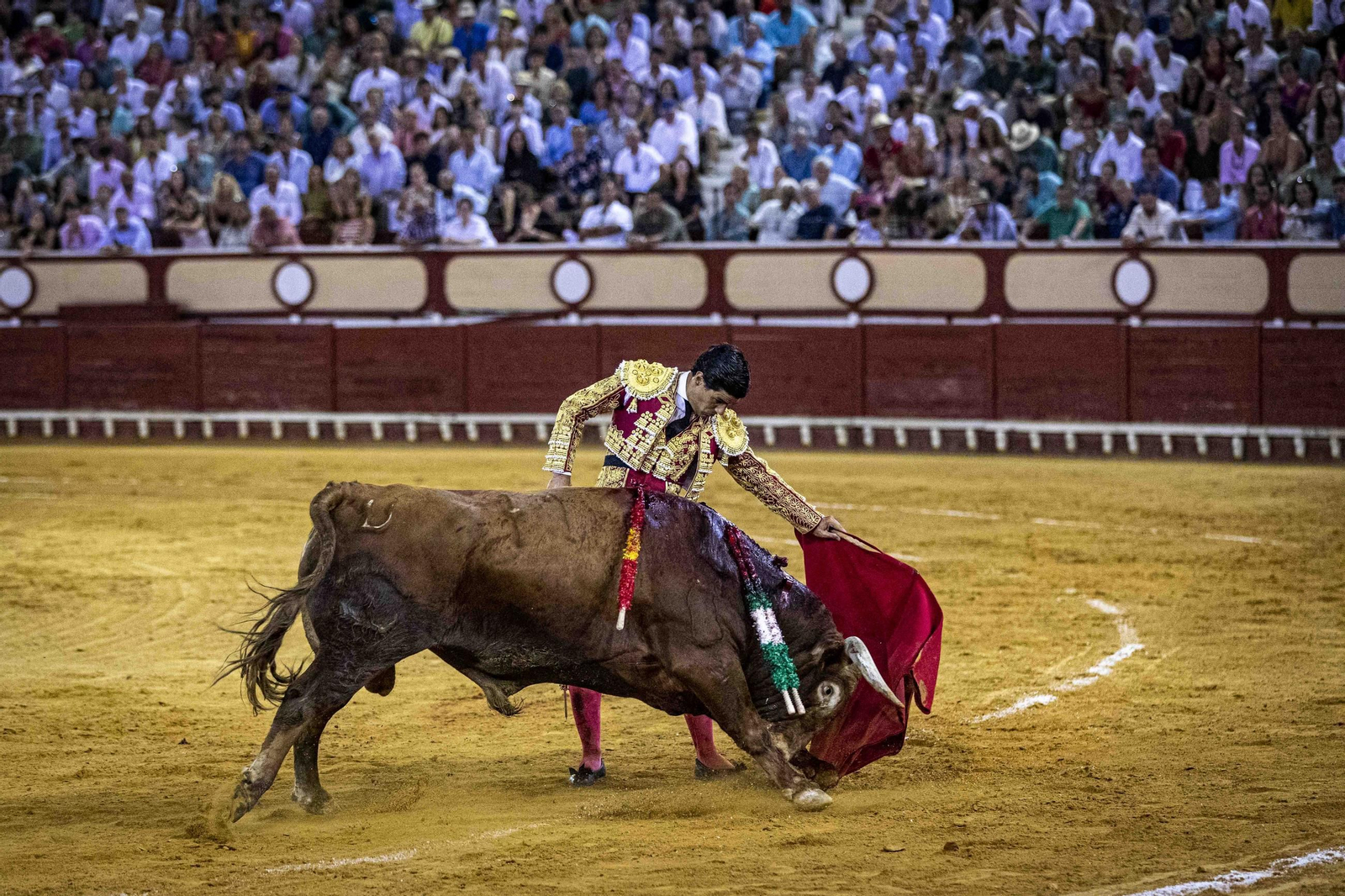 toros morente manzanares aguado puerto santa maria 89.jpg