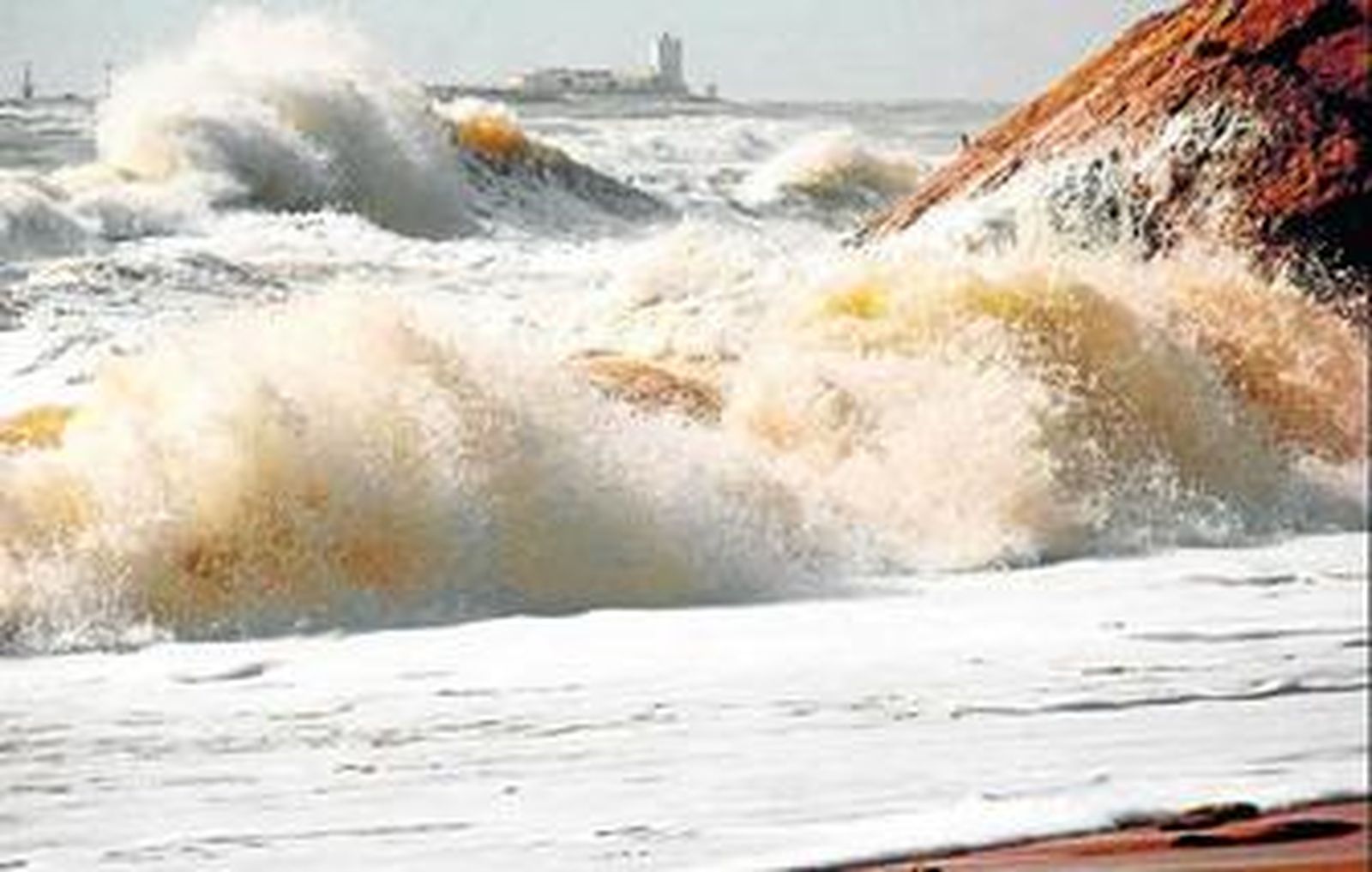 Foto que ha obtenido el primer premio en el concurso organizado por Chiclana Natural.