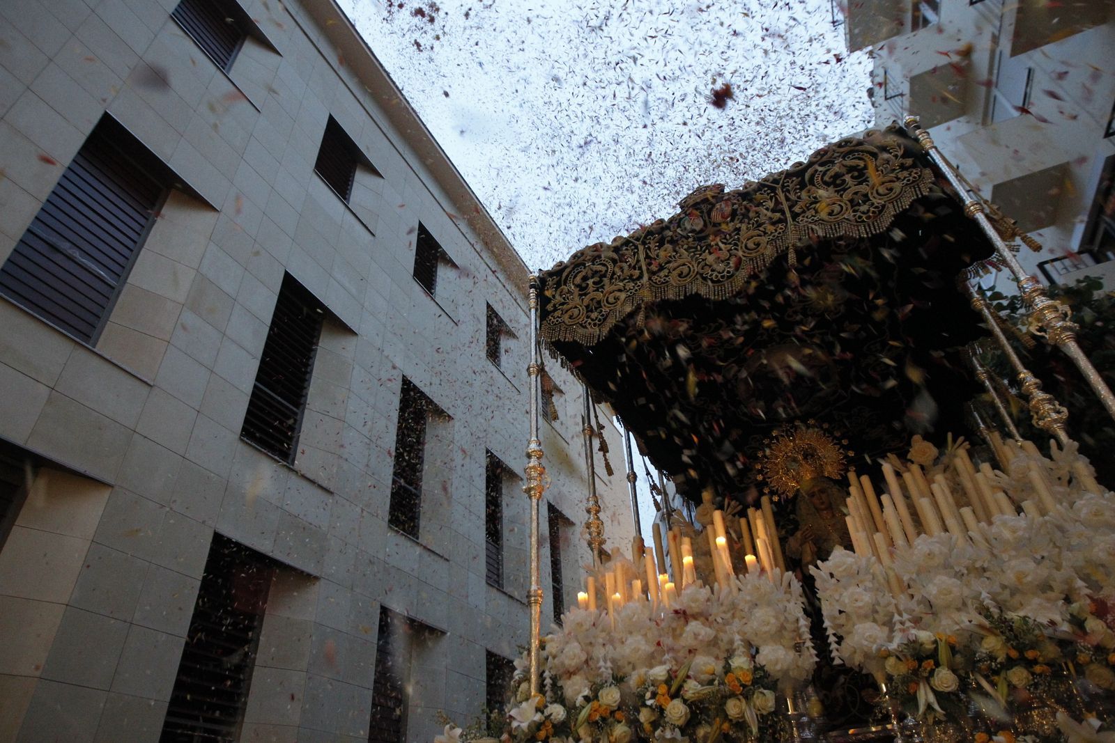 Imágenes de la Procesión de Estudiantes. Semana Santa Almería 2019