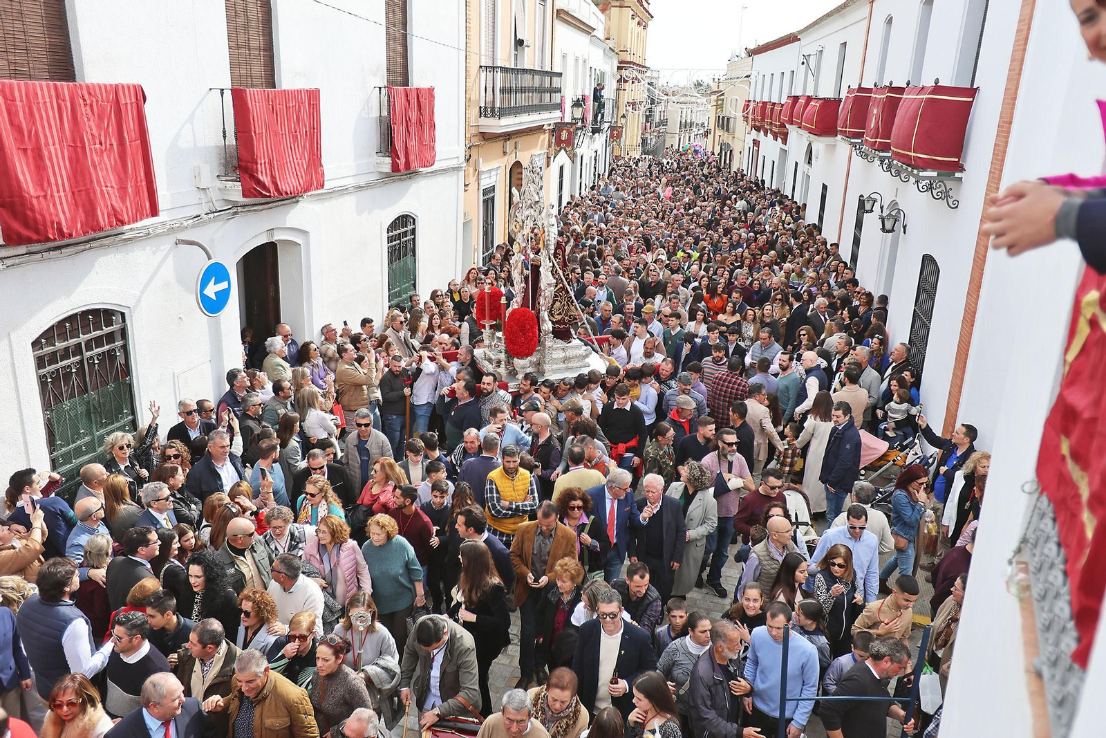Imágenes de las tiradas de San Antonio Abad en Trigueros