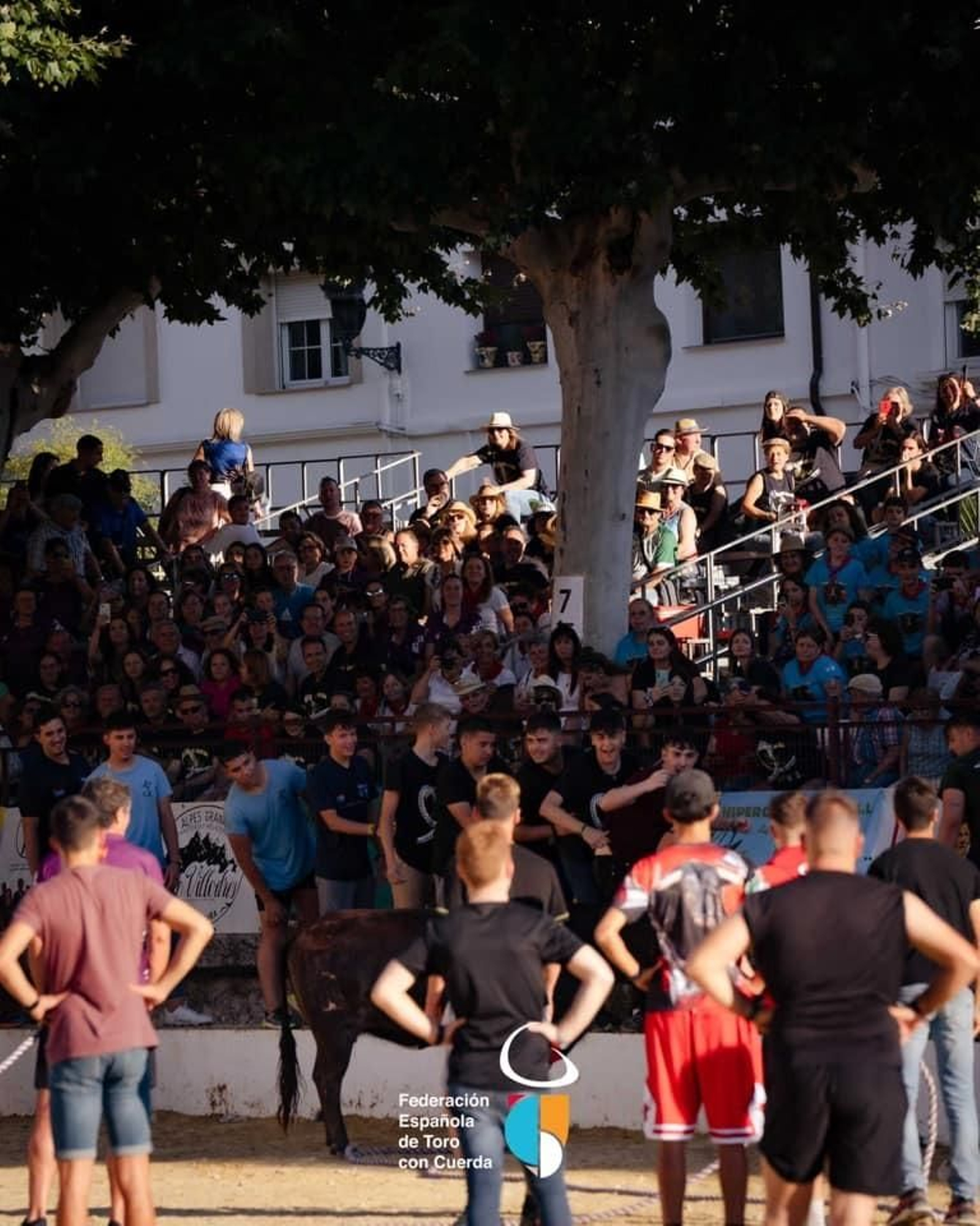 Así transcurrió la segunda jornada del Congreso Nacional de Toro de Cuerda, en imágenes