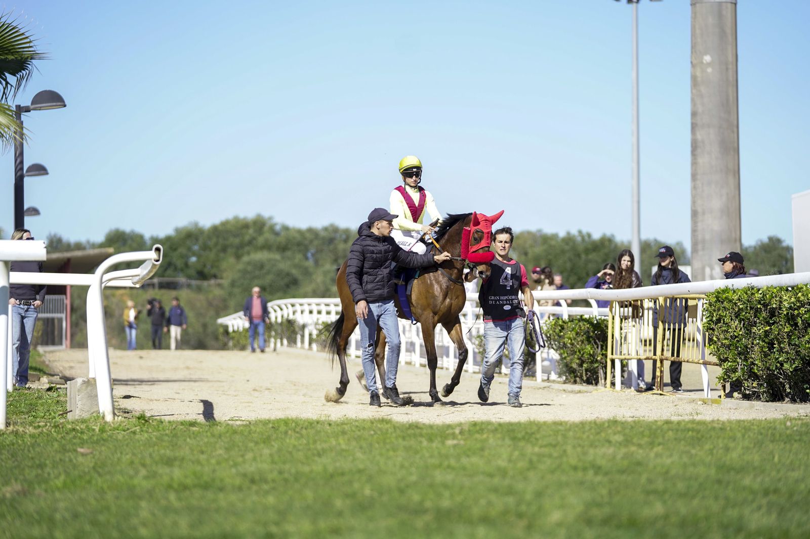 Las fotos del Premio Diario de Sevilla en el hipódromo de Dos Hermanas