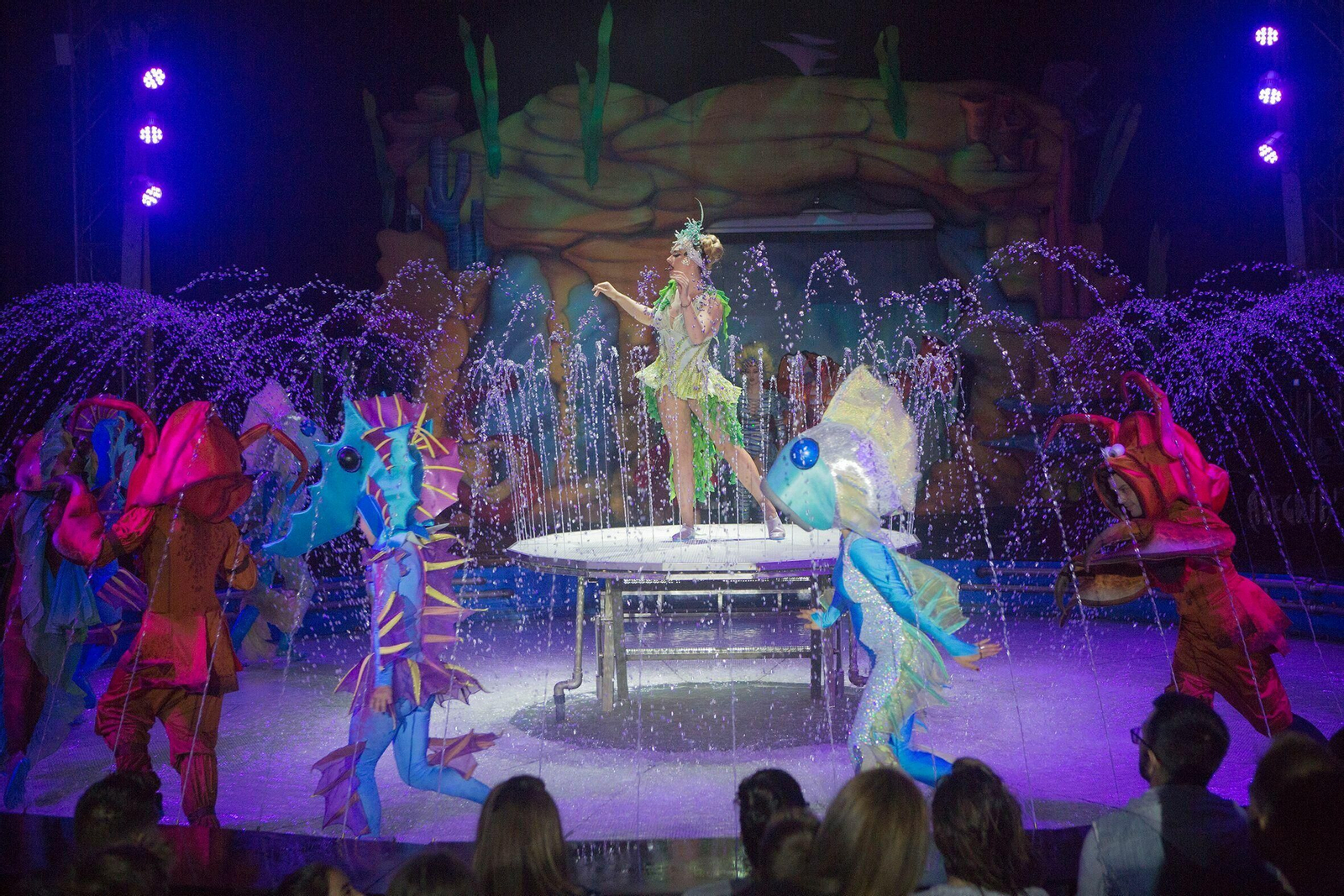 Uno de los números del espectáculo.