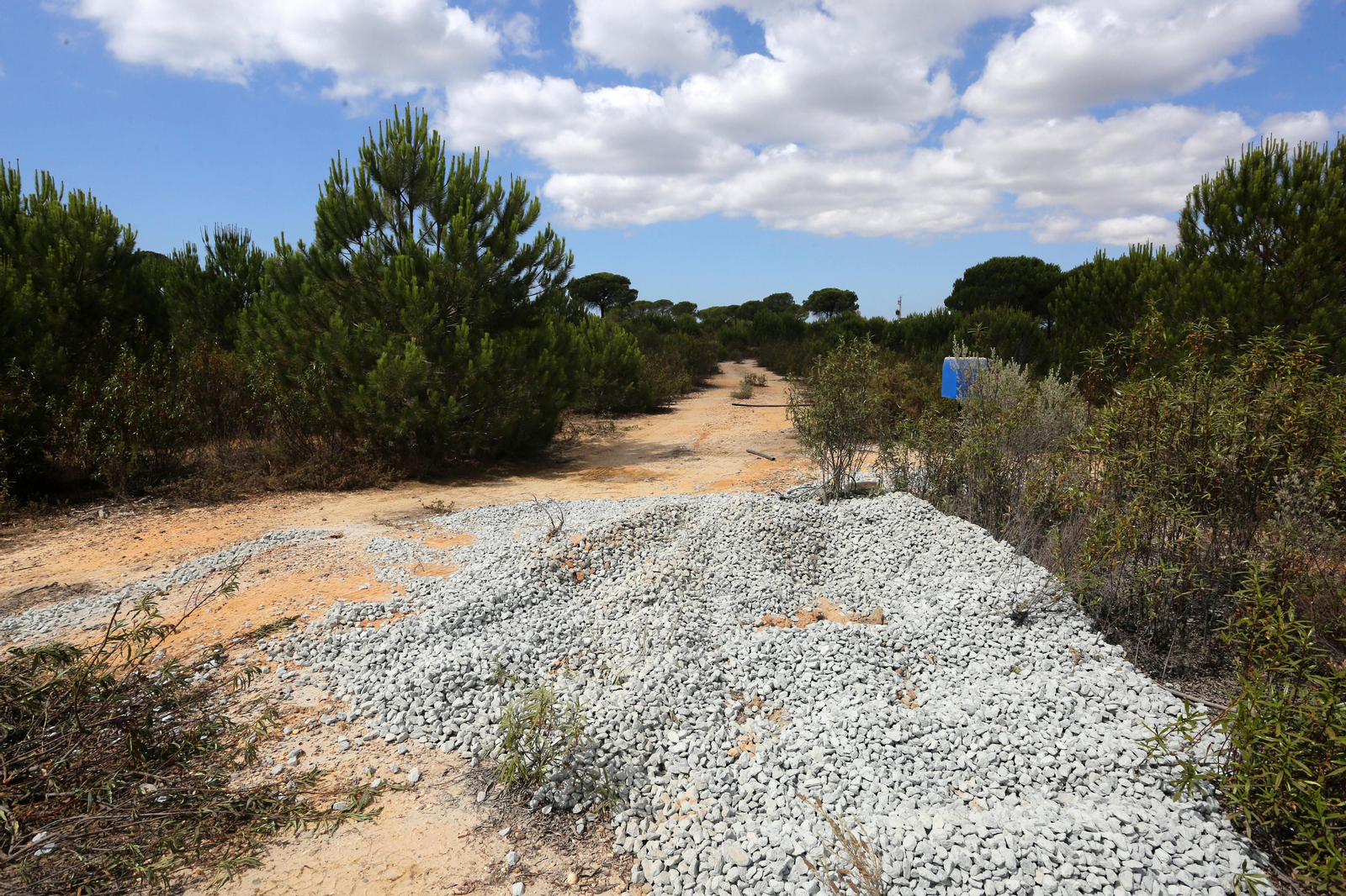 Imágenes del cierre de los pozos de Lucena por la Guardia Civil y la Confederación Hidrográfica del Guadalquivir