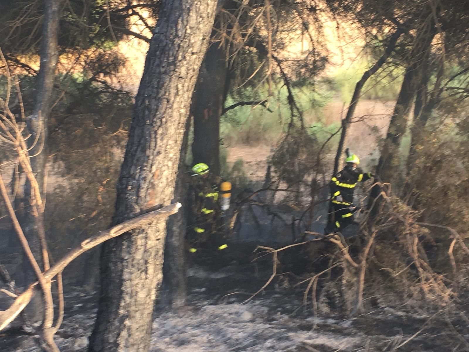 El incendio en Puerto Real que ha afectado a varias viviendas