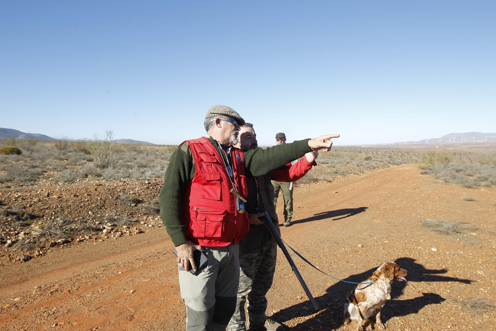 45 días más de caza en los cotos intensivos para evitar el sacrificio en granjas