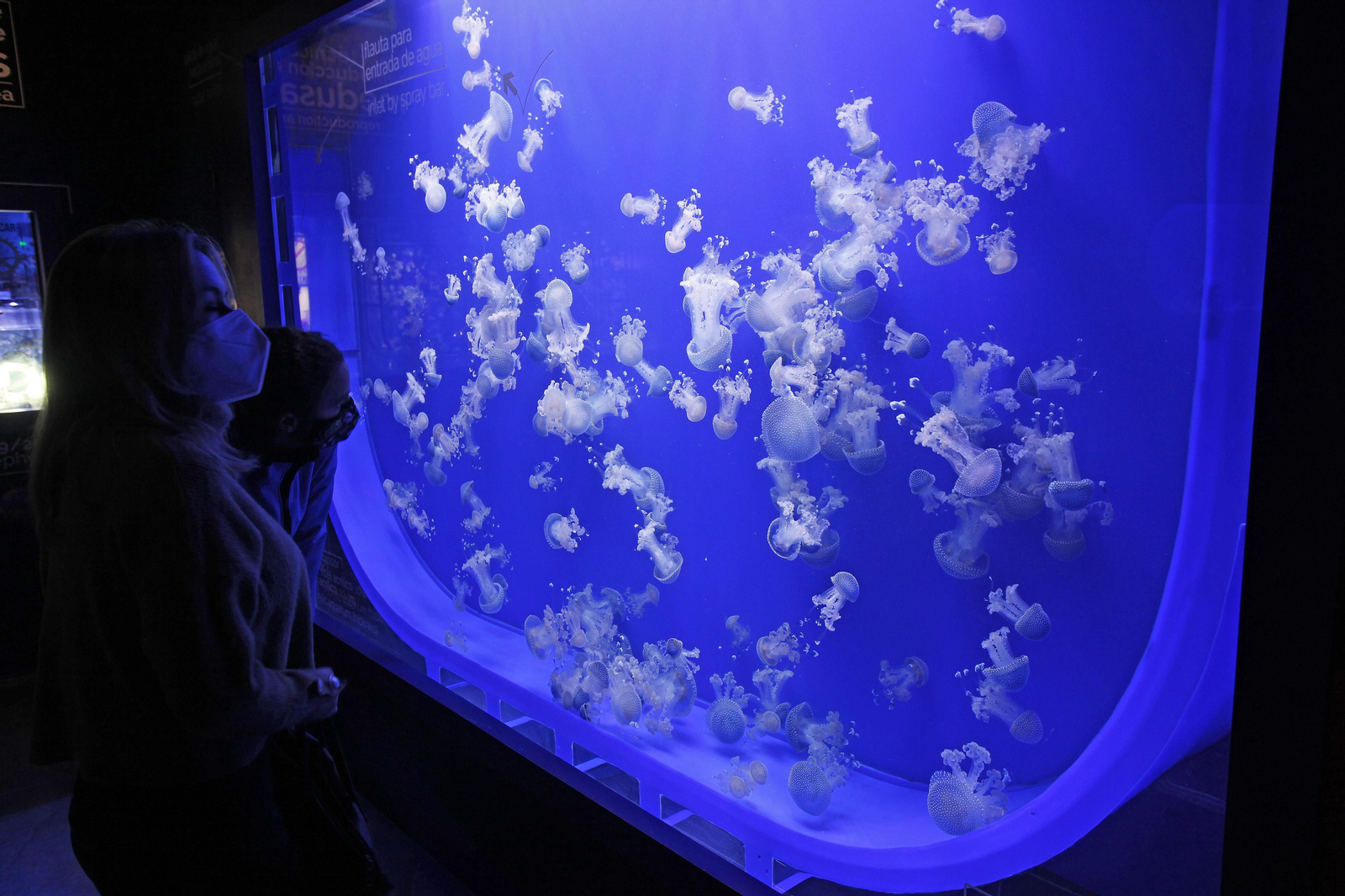 Semana de la Educación Ambiental en el Acuario de Sevilla