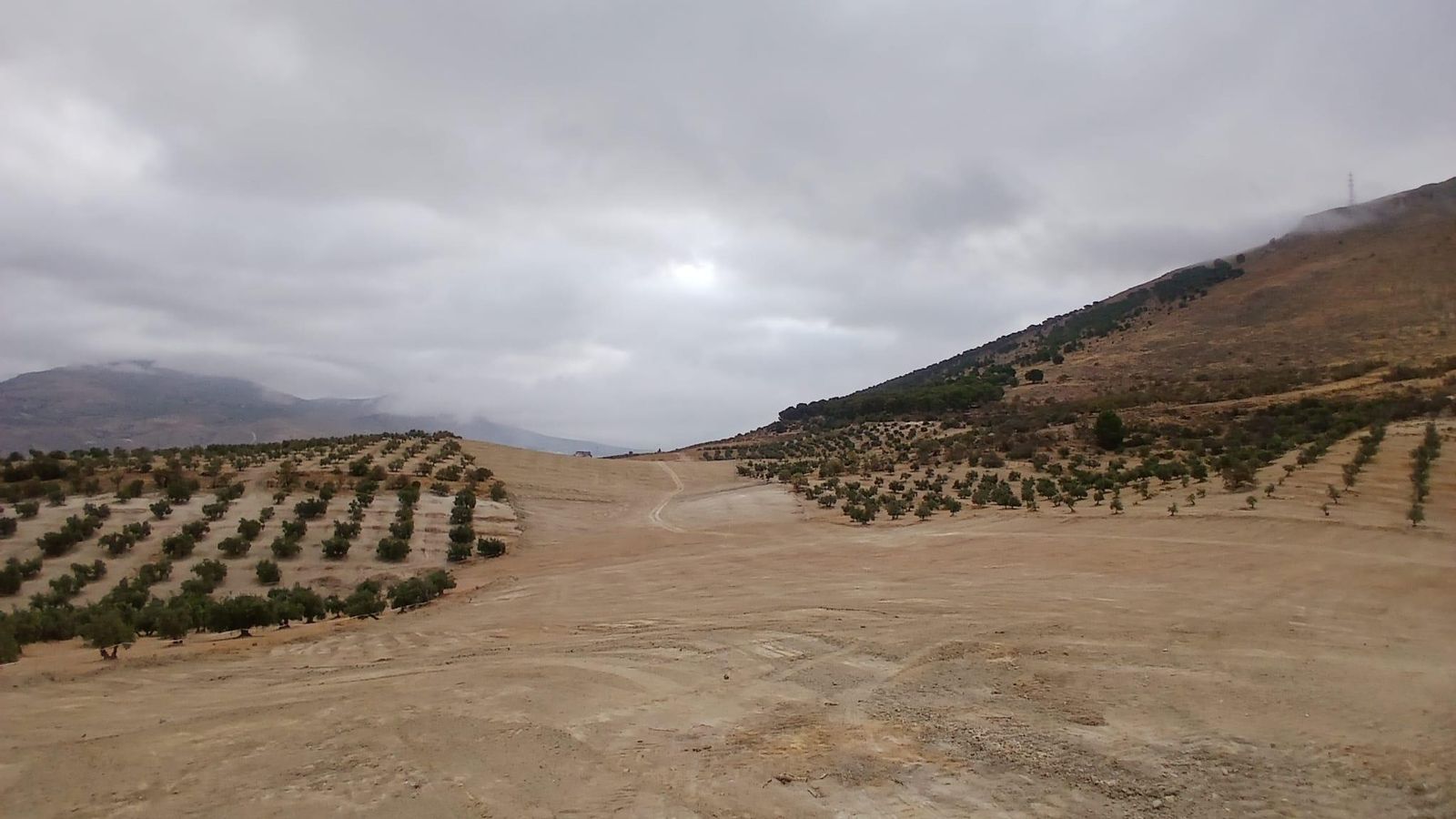 Extensión de tierra desbrozada donde se ve el ancho de la traza ferroviaria, con la Sierra Gorda de Loja a la derecha