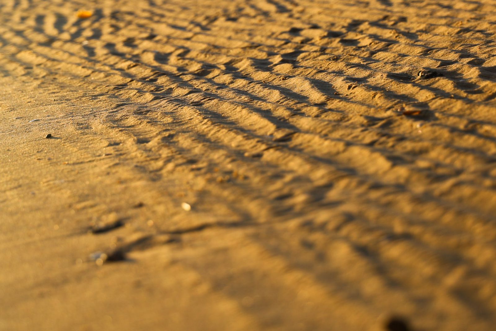 La Punta del Sebo, un lugar maravilloso para visitar y fotografiar a los pies de los ríos Tinto y Odiel