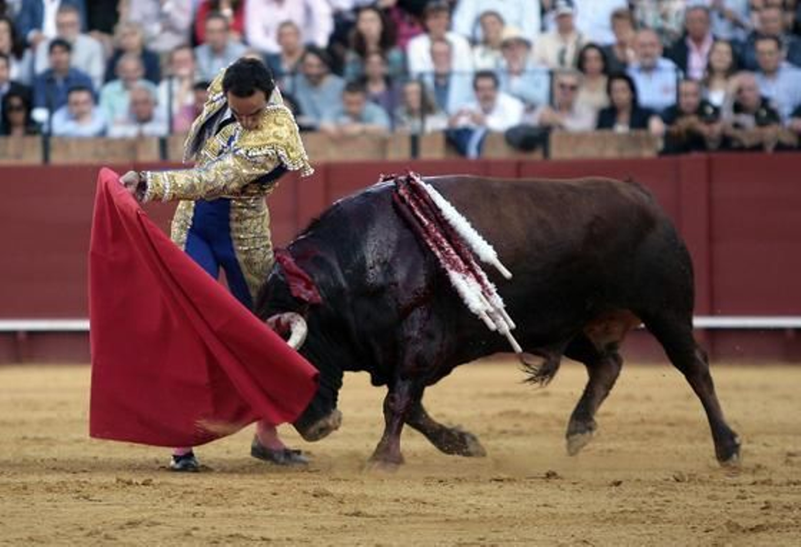 Foto: Juan Carlos Muñoz