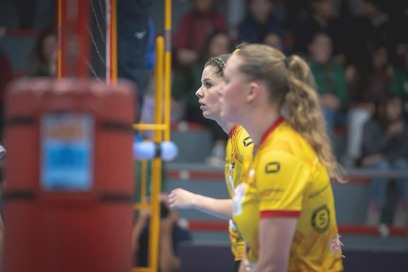 Las fotos del Fundación Cajasol Andalucía-Dynamo Apeldoorn