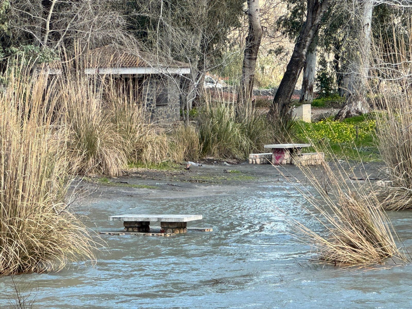 Varios bancos del merendero han quedado completamente inundados por la crecida del Guadalfeo