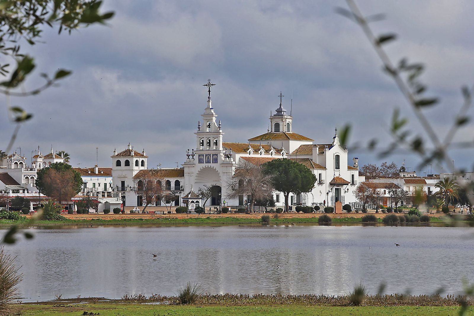 Estado actual en el que se encuentran las Marismas del Rocío tras las últimas lluvias
