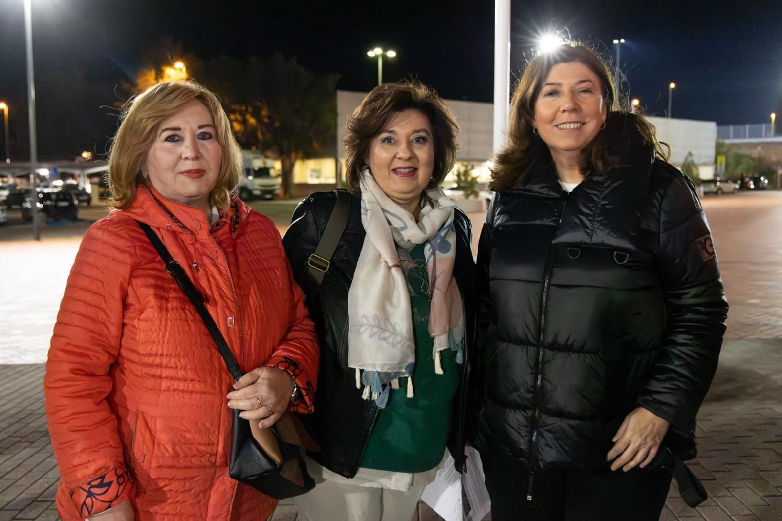 Así se disfruta en Jaén del concierto de Raphael, "Raphaelísimo"