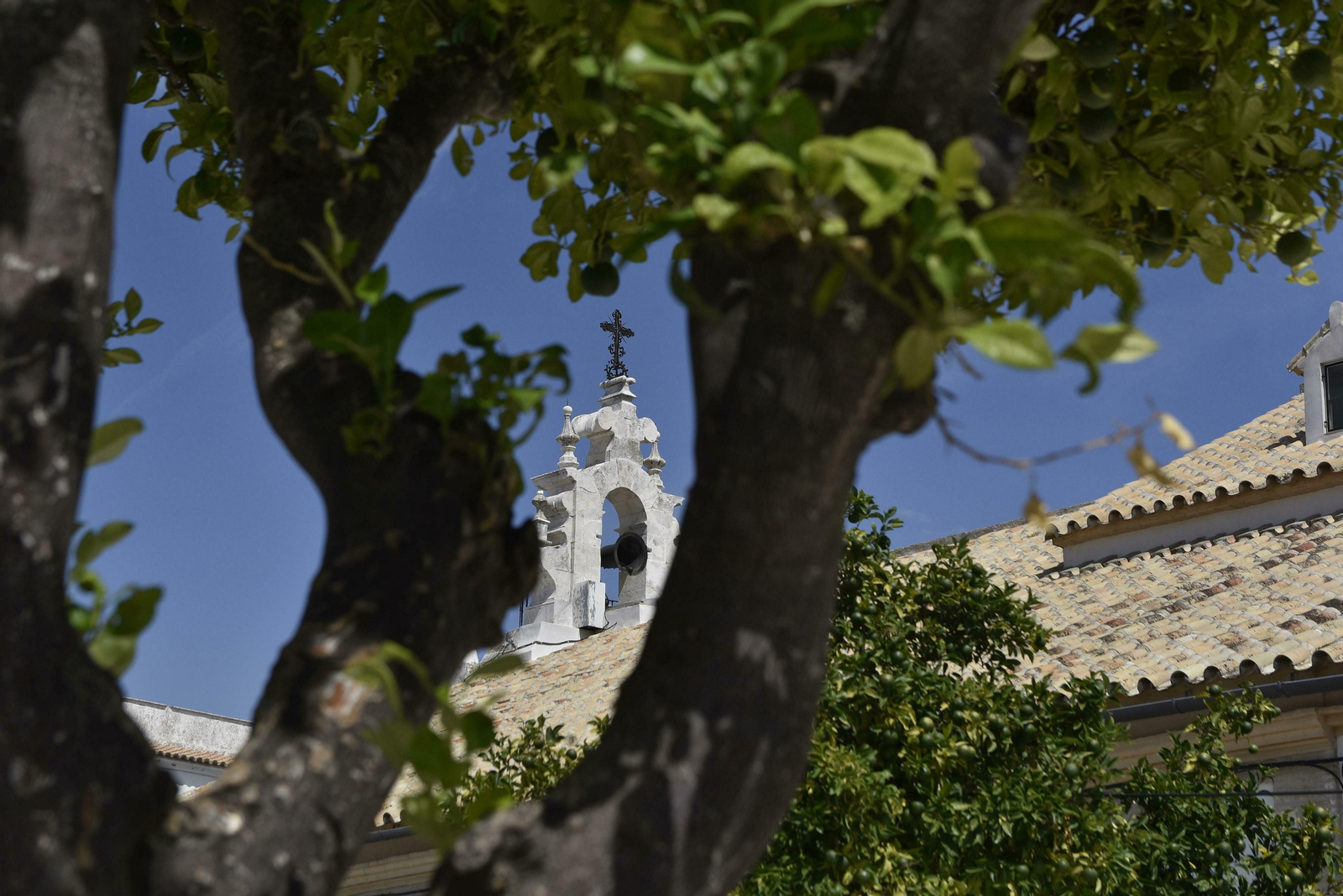 Estepa, en imágenes