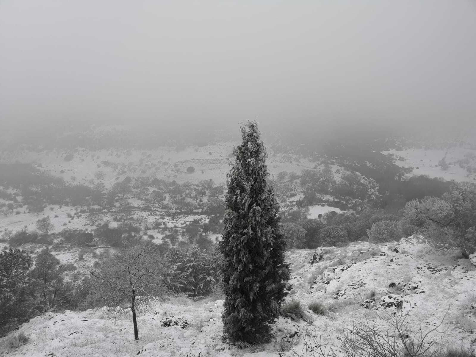 Las primeras nieves de la provincia de Córdoba, en fotos
