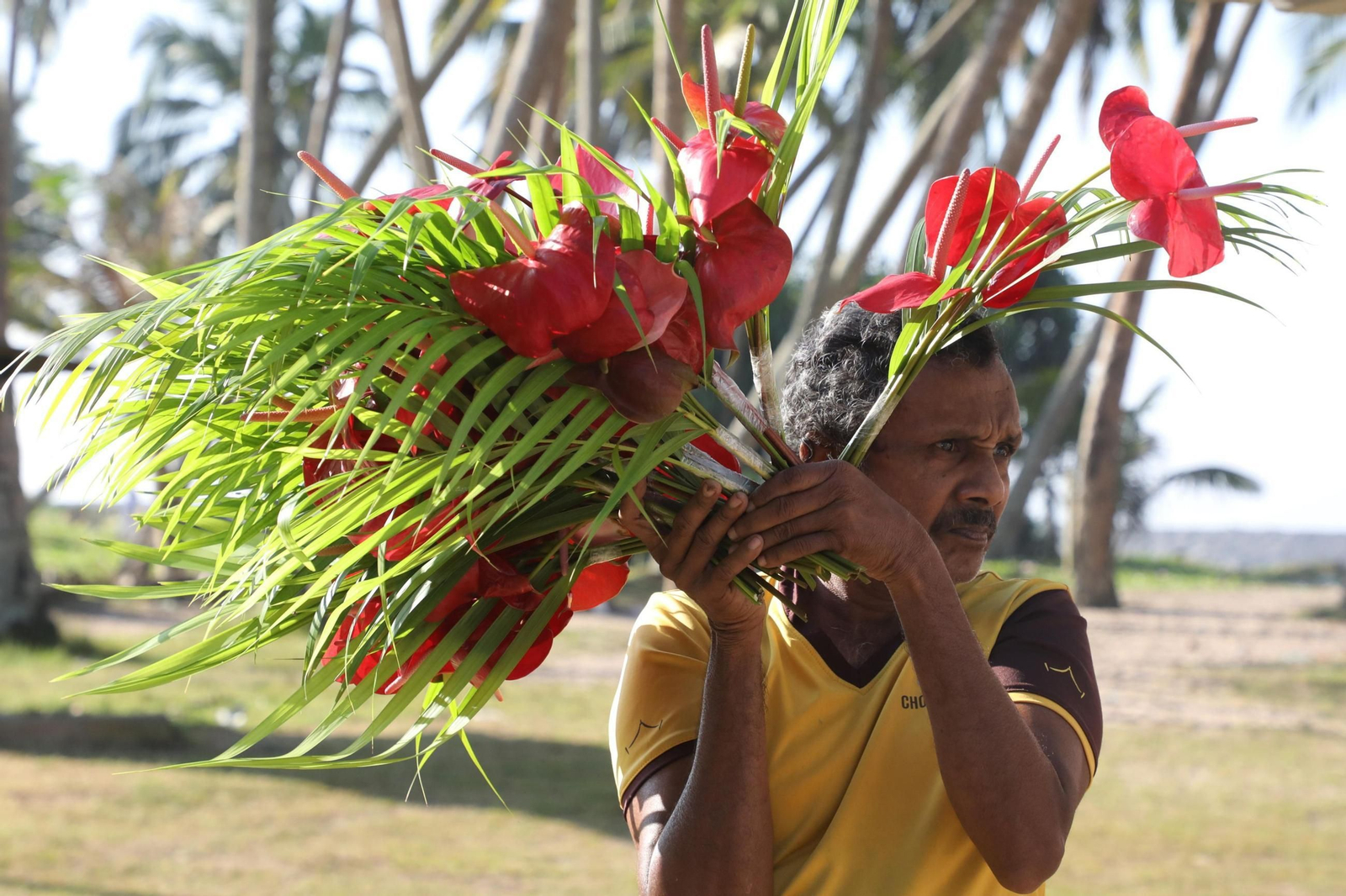 20 años del devastador tsunami en el Índico