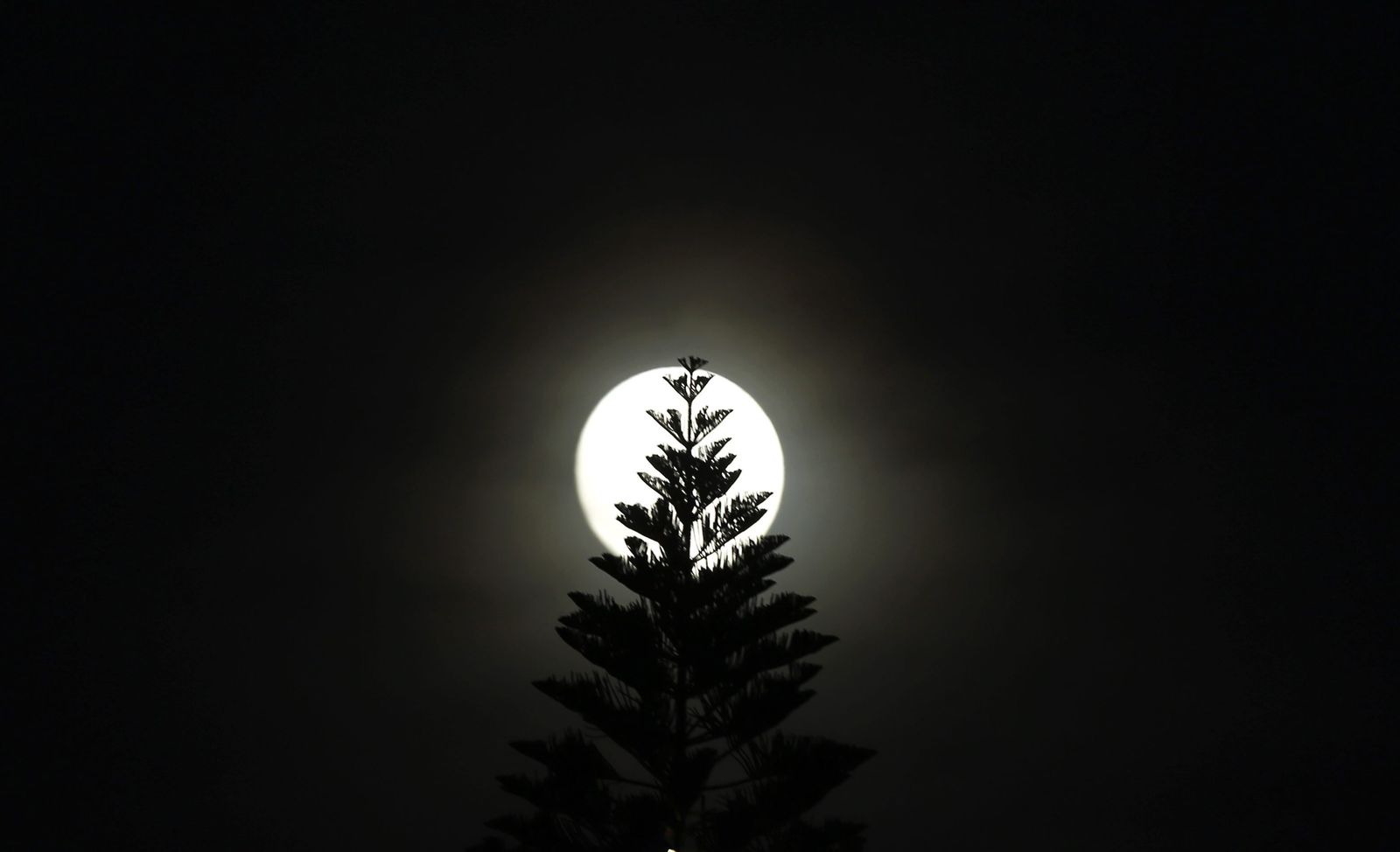 El fenómeno de la superluna se repite esta noche