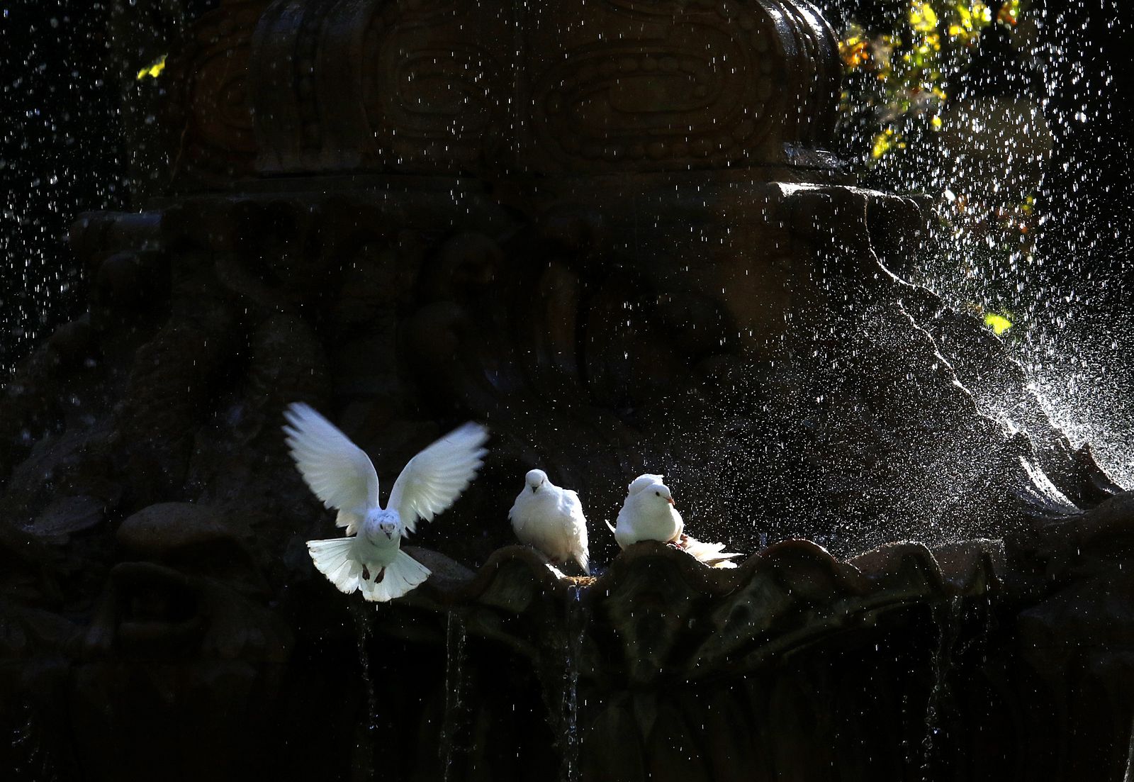 El otoño en Córdoba, en fotografías