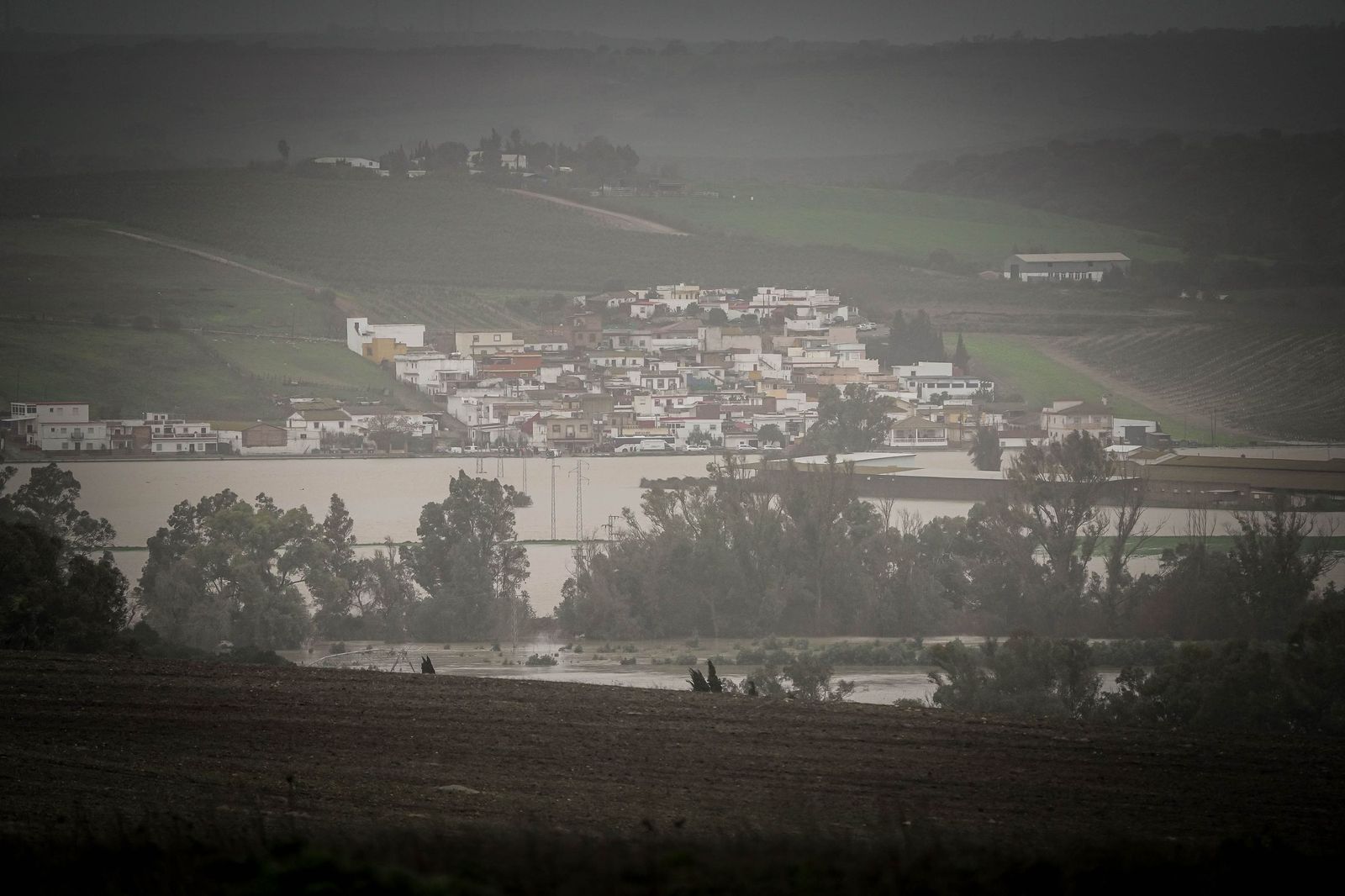 Imágenes de las graves consecuencias de la crecida del rio Guadalete en la zona rural de Jerez