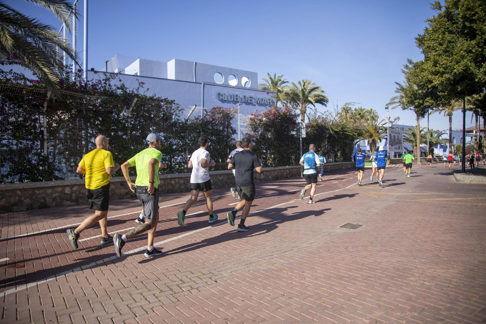 El Medio Maratón de Almería 2025, en imágenes