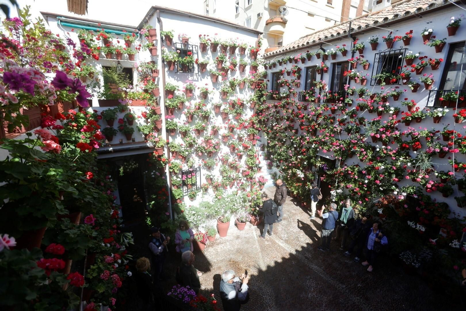 Las mejores imágenes del primer día de Patios en Córdoba