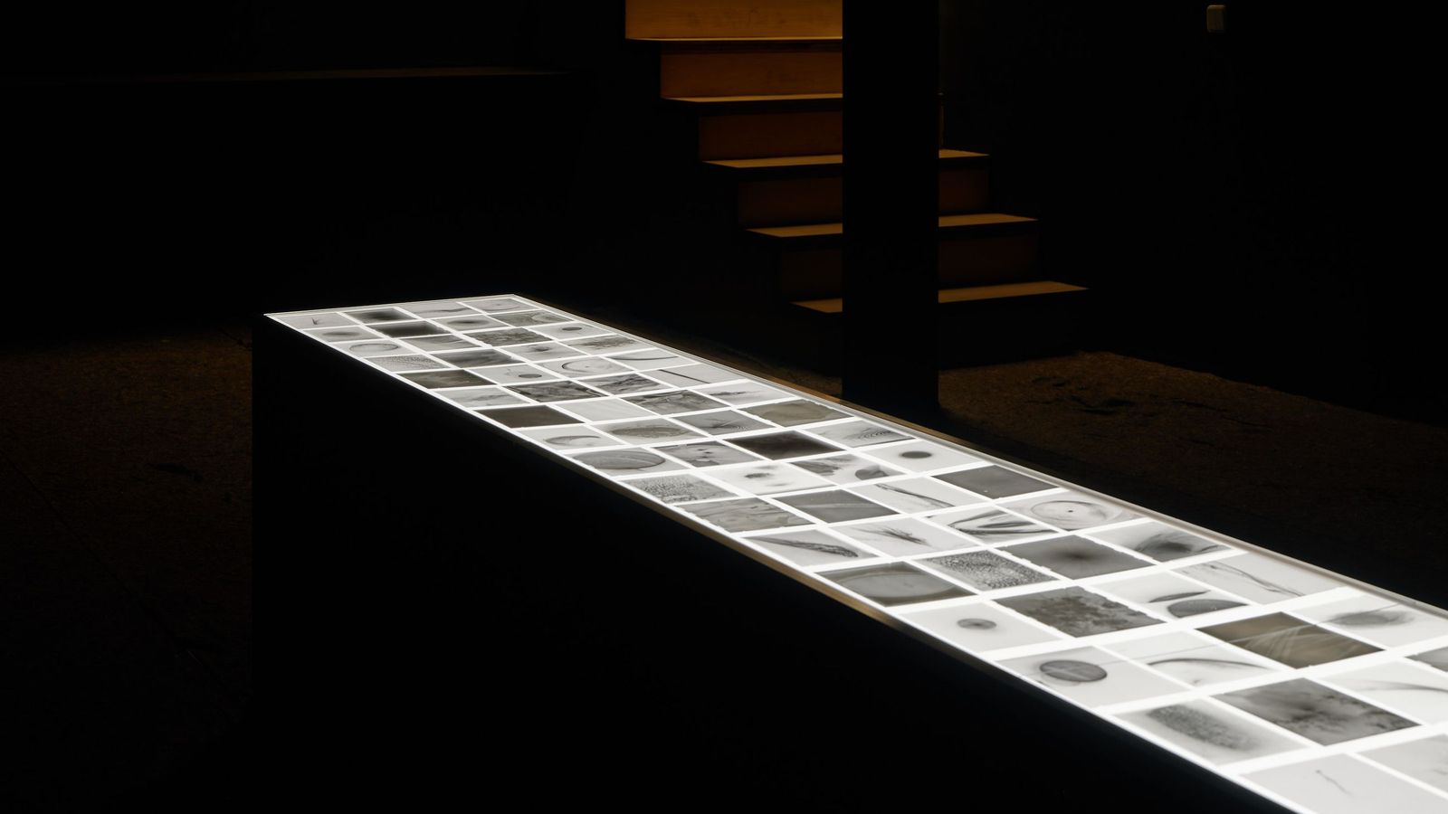 Martínez Bellido pone en diálogo la objetividad de la técnica con el papel especulativo de la imaginación.