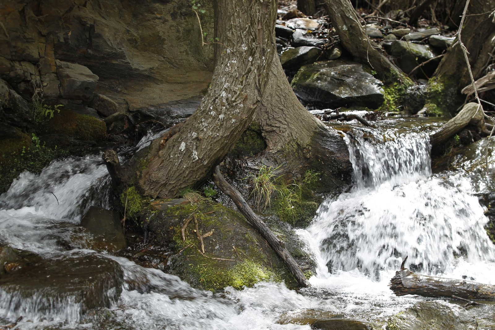 Naturaleza desconfinada. La Roza (Abrucena)