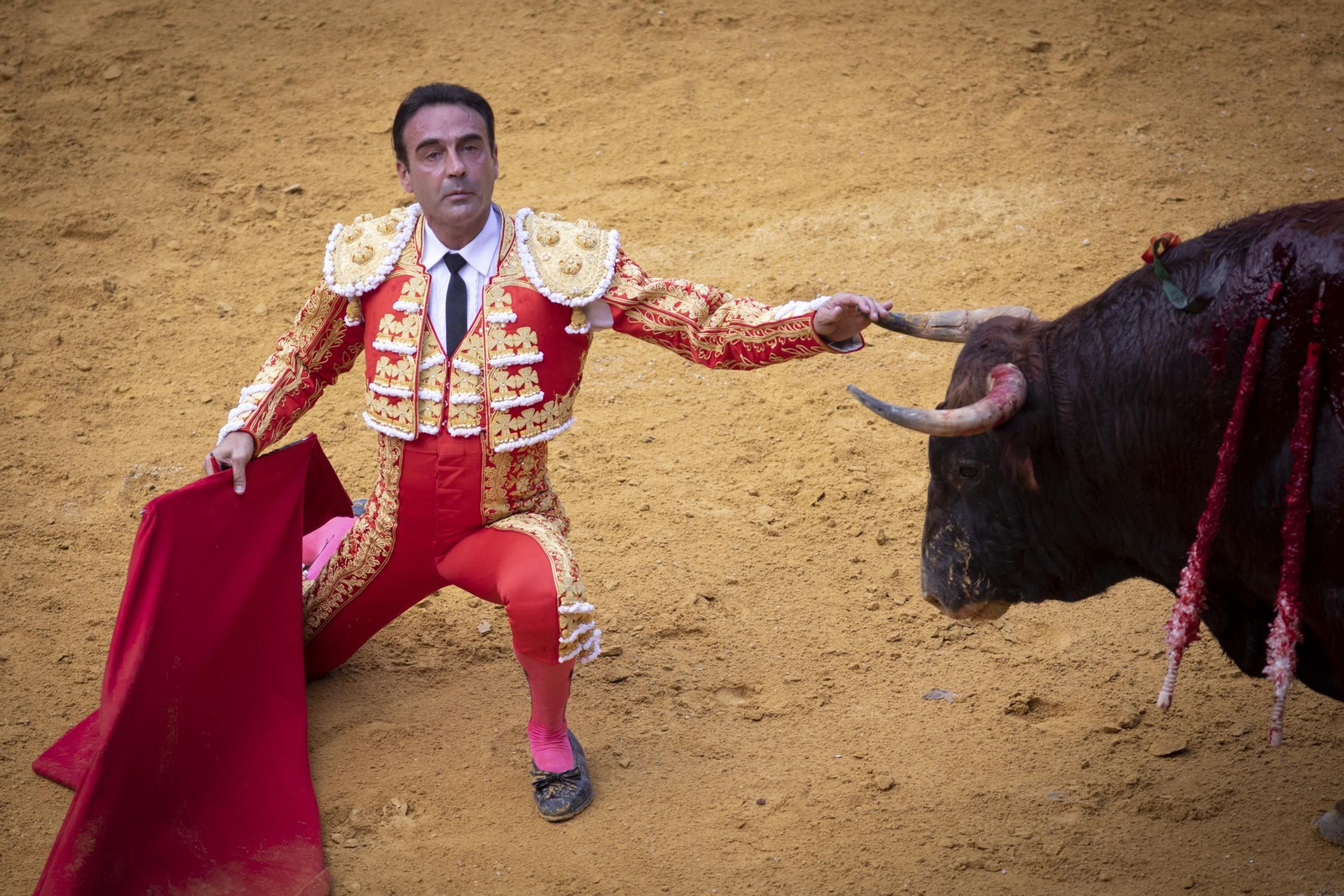 Enrique Ponce, delante de un toro.