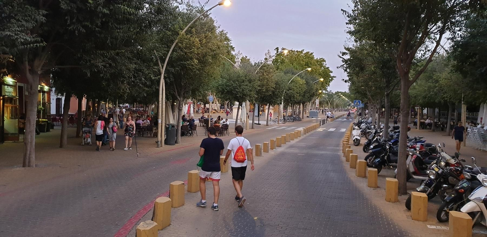 Carril de circulación de la Alameda de Hércules.