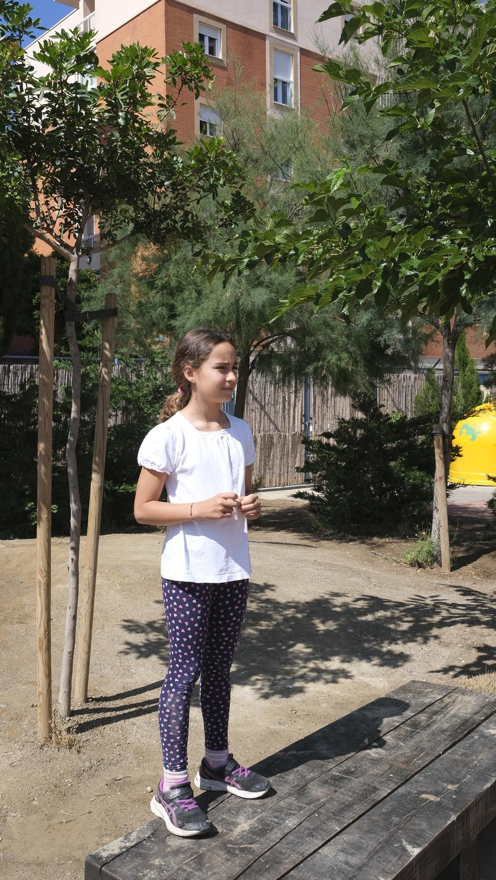 Proyecto Aulas Verdes Abiertas en el Colegio Mar Mediterráneo, de Almería