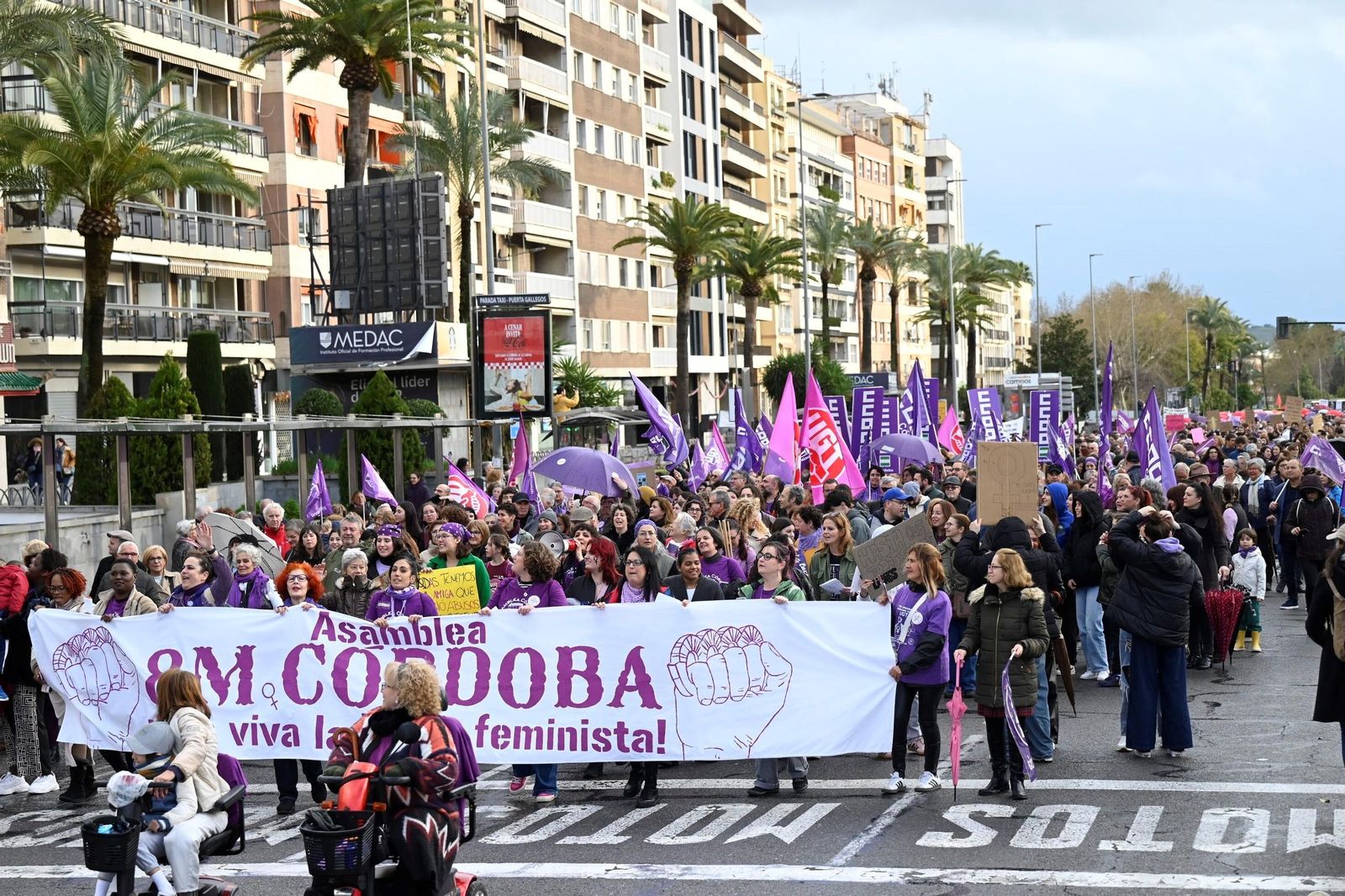 La manifestación del 8M en Córdoba, en imágenes