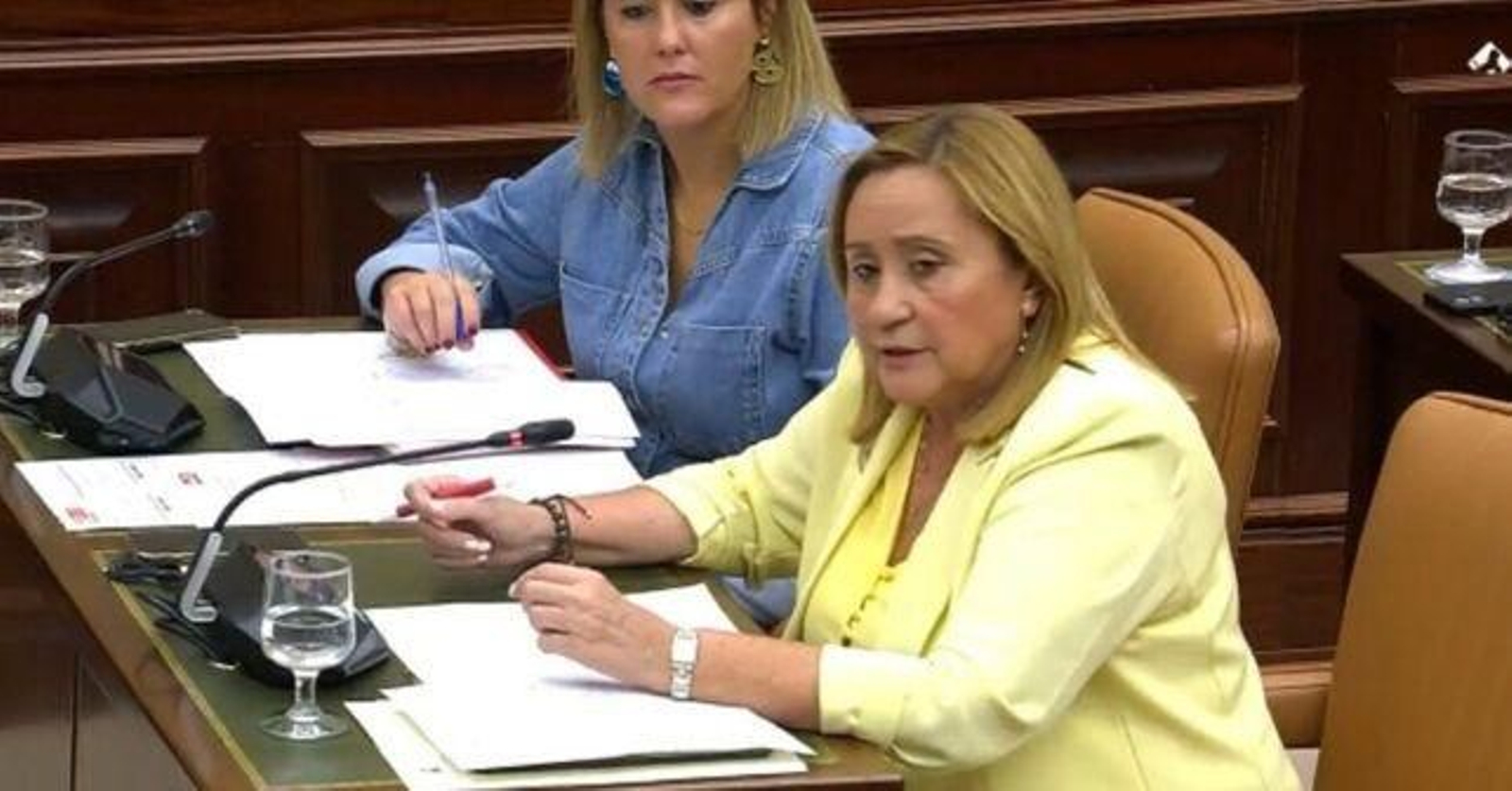 Maria Luisa Faneca en el Senado