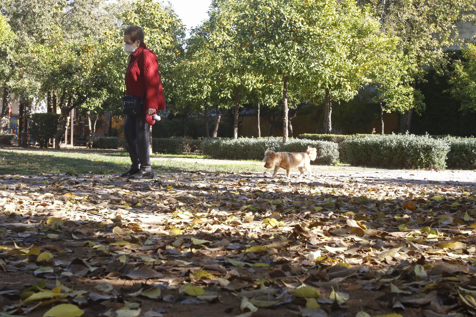 El otoño en Córdoba, en fotografías